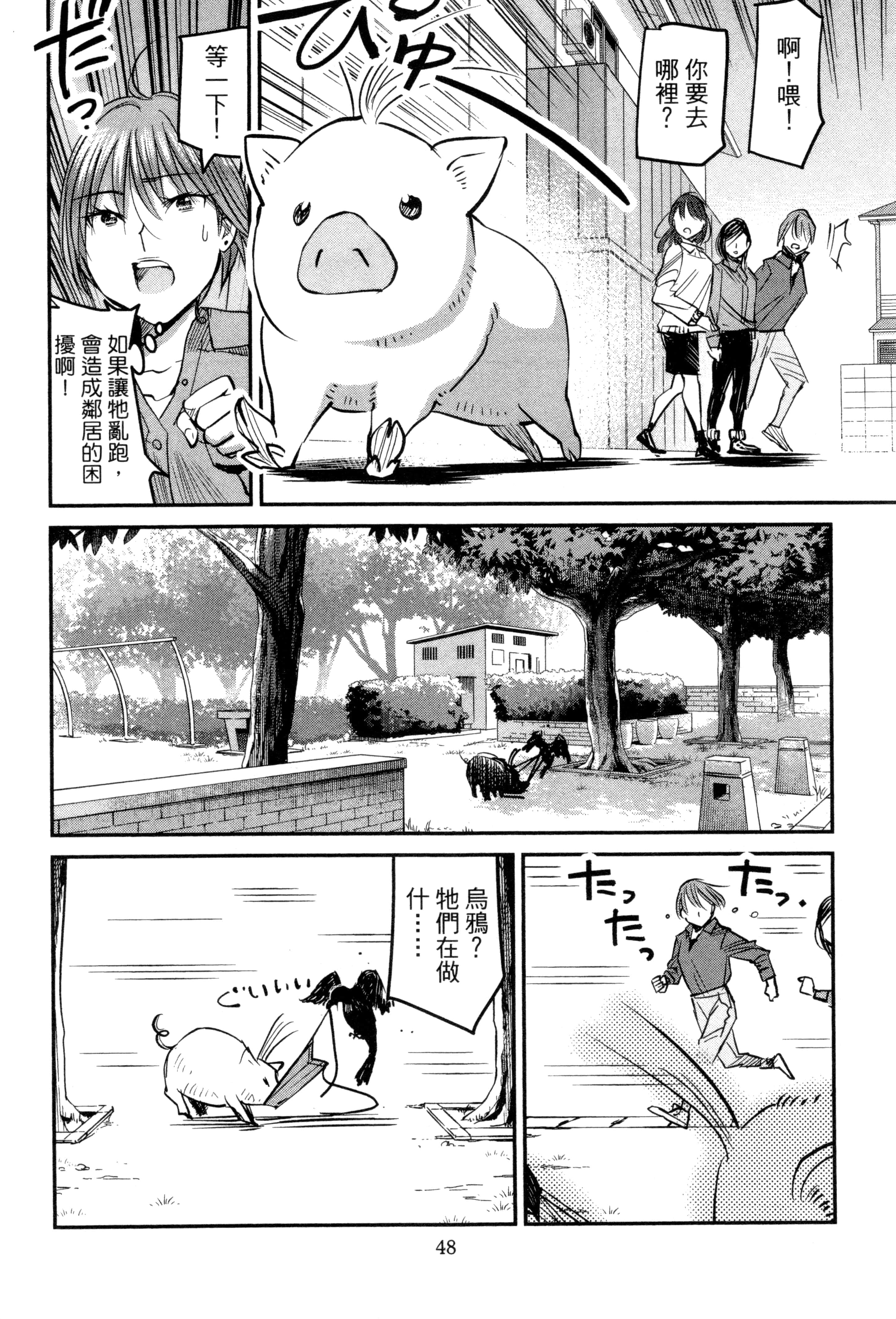 Page 51