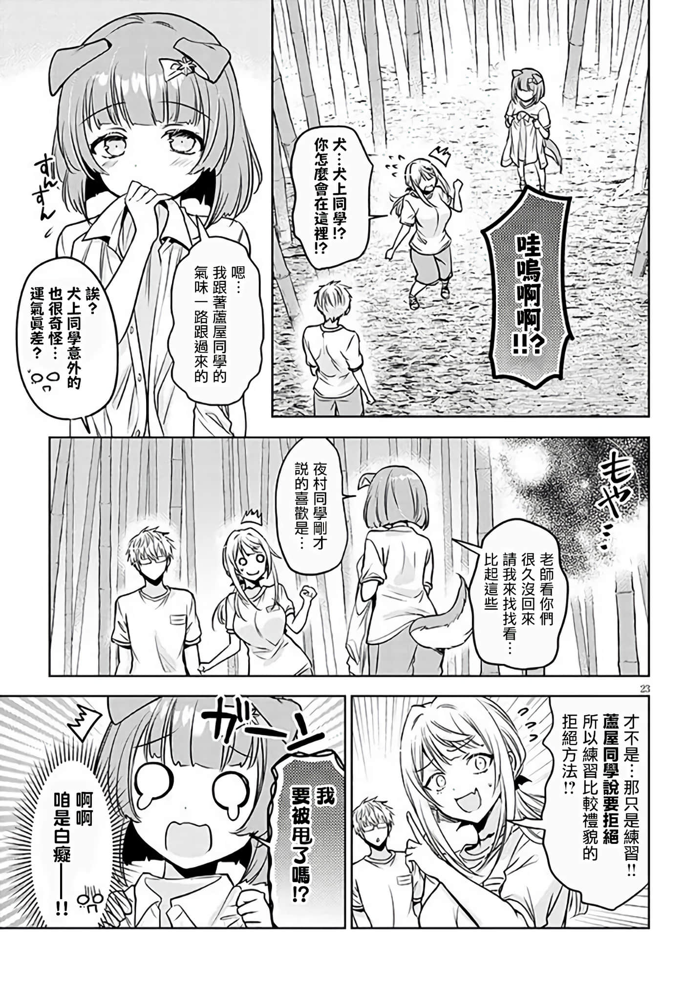 Page 23