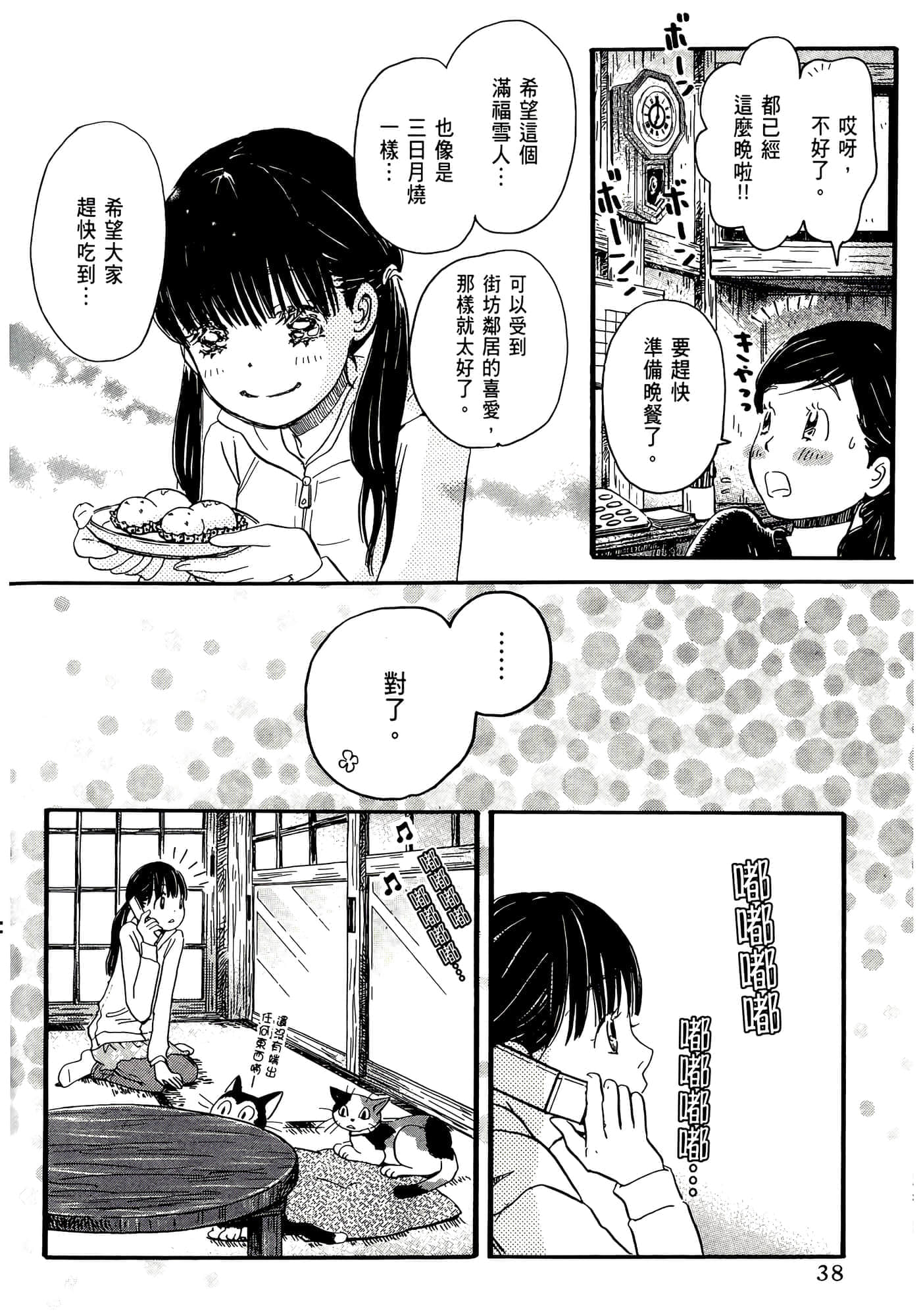 第 38 页