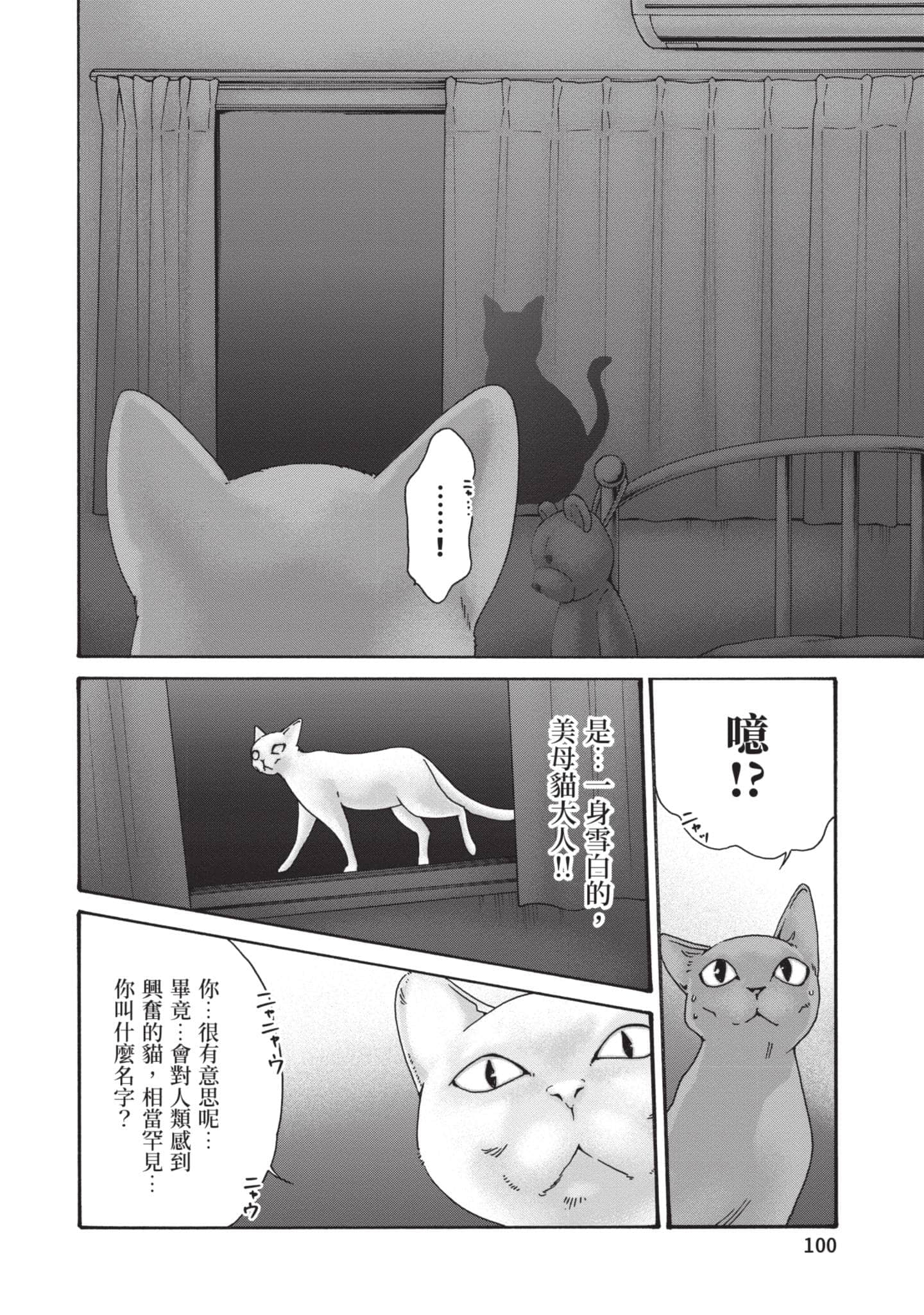 Page 101