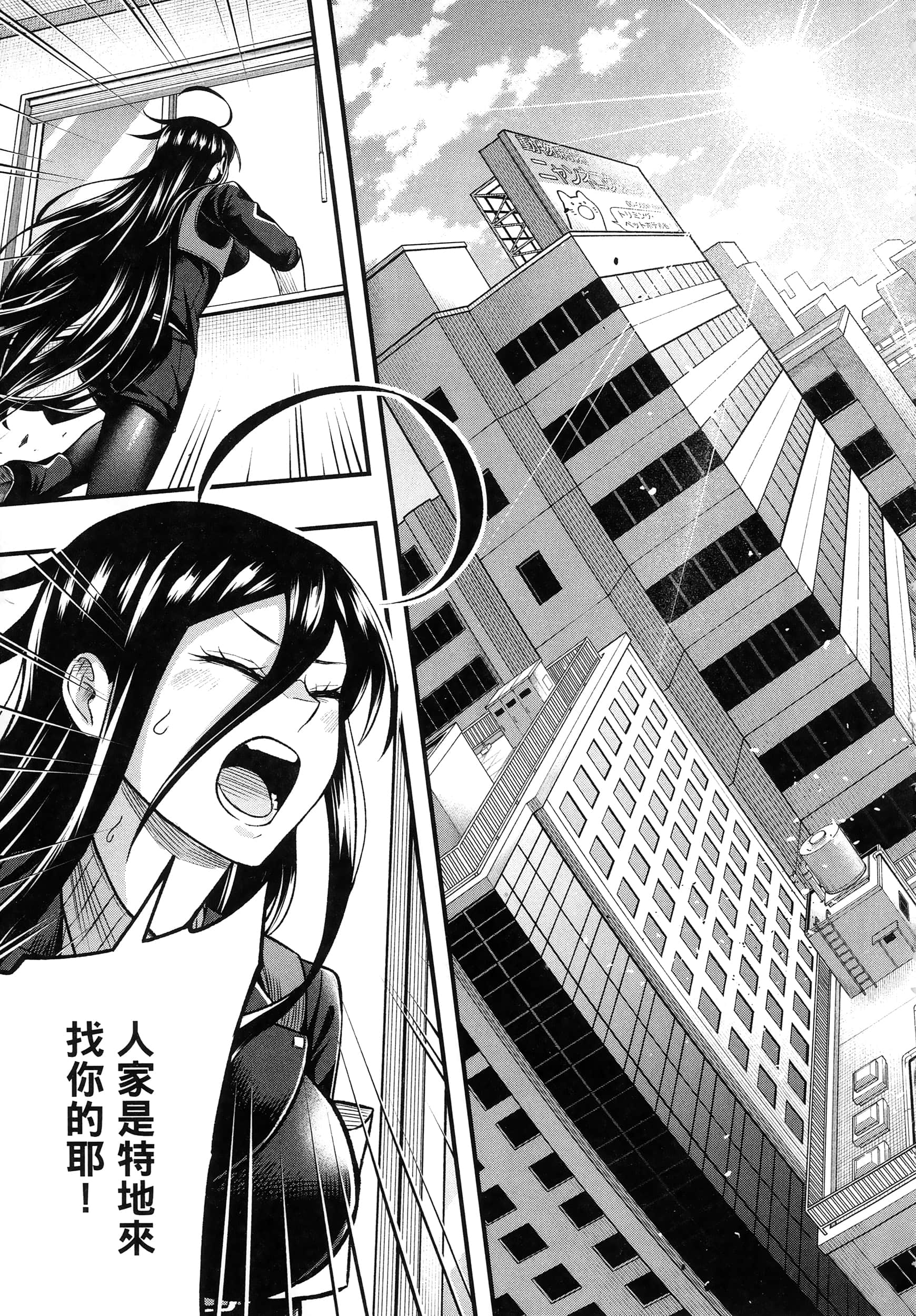 第 233 页