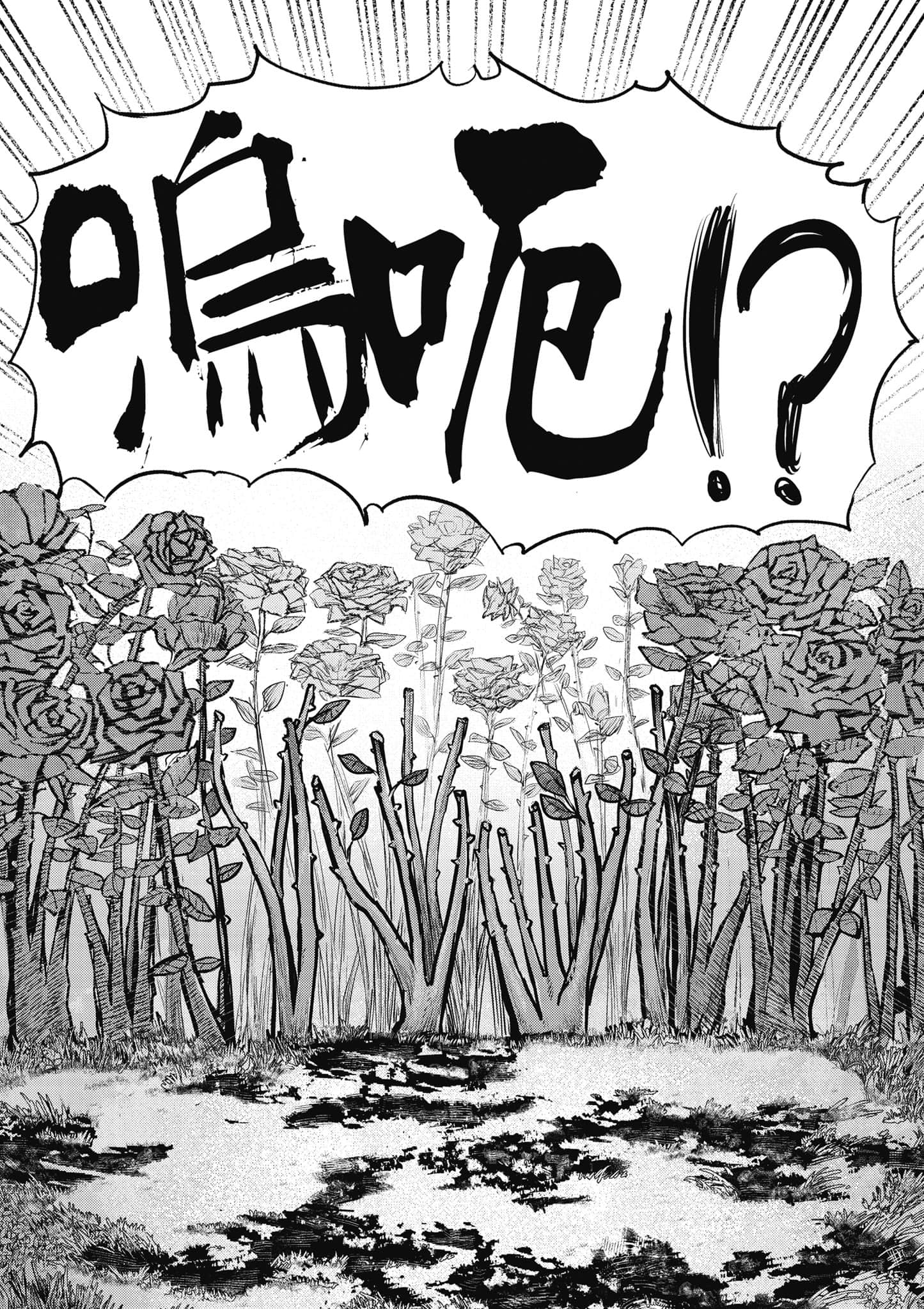 第 167 页