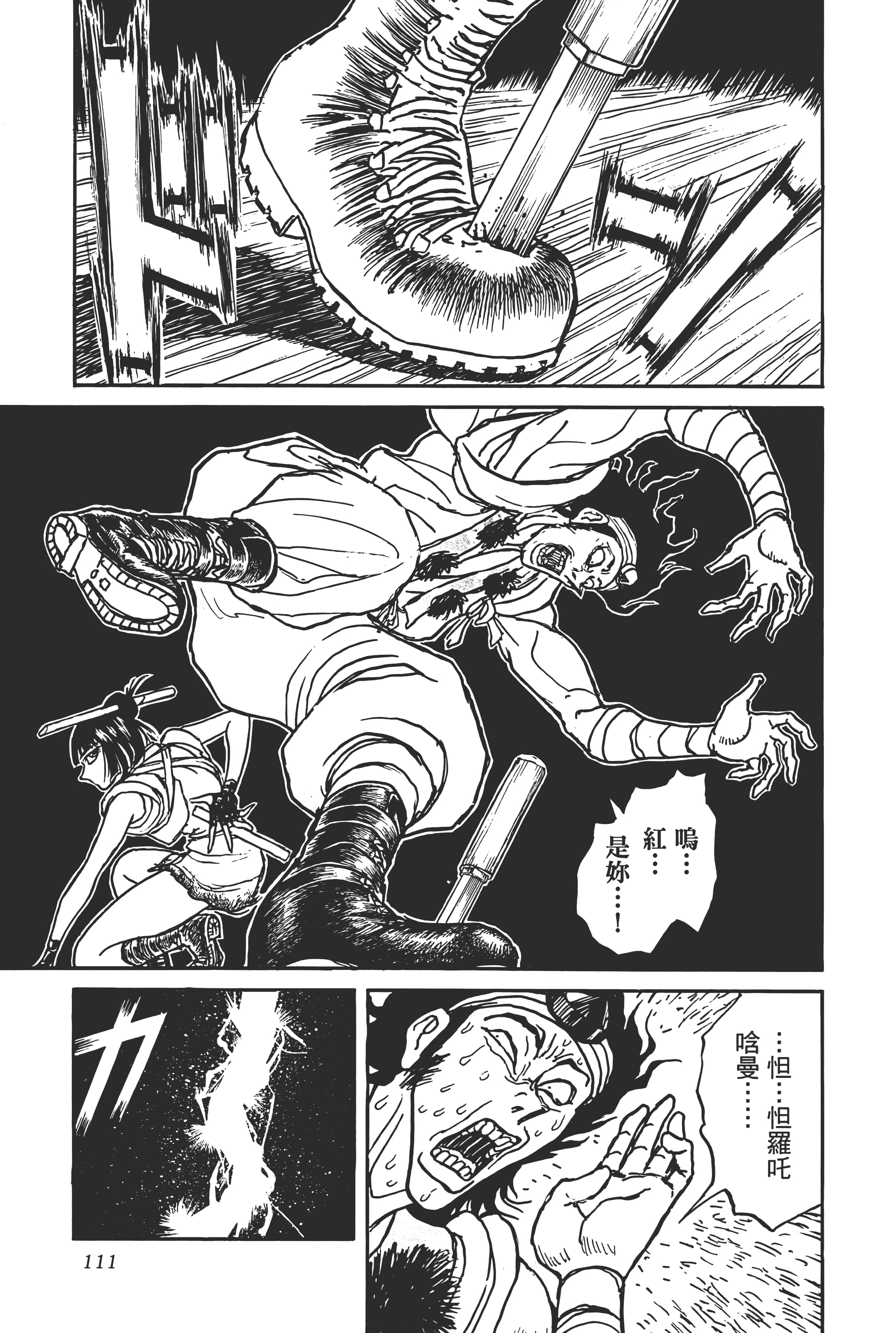 第 113 页
