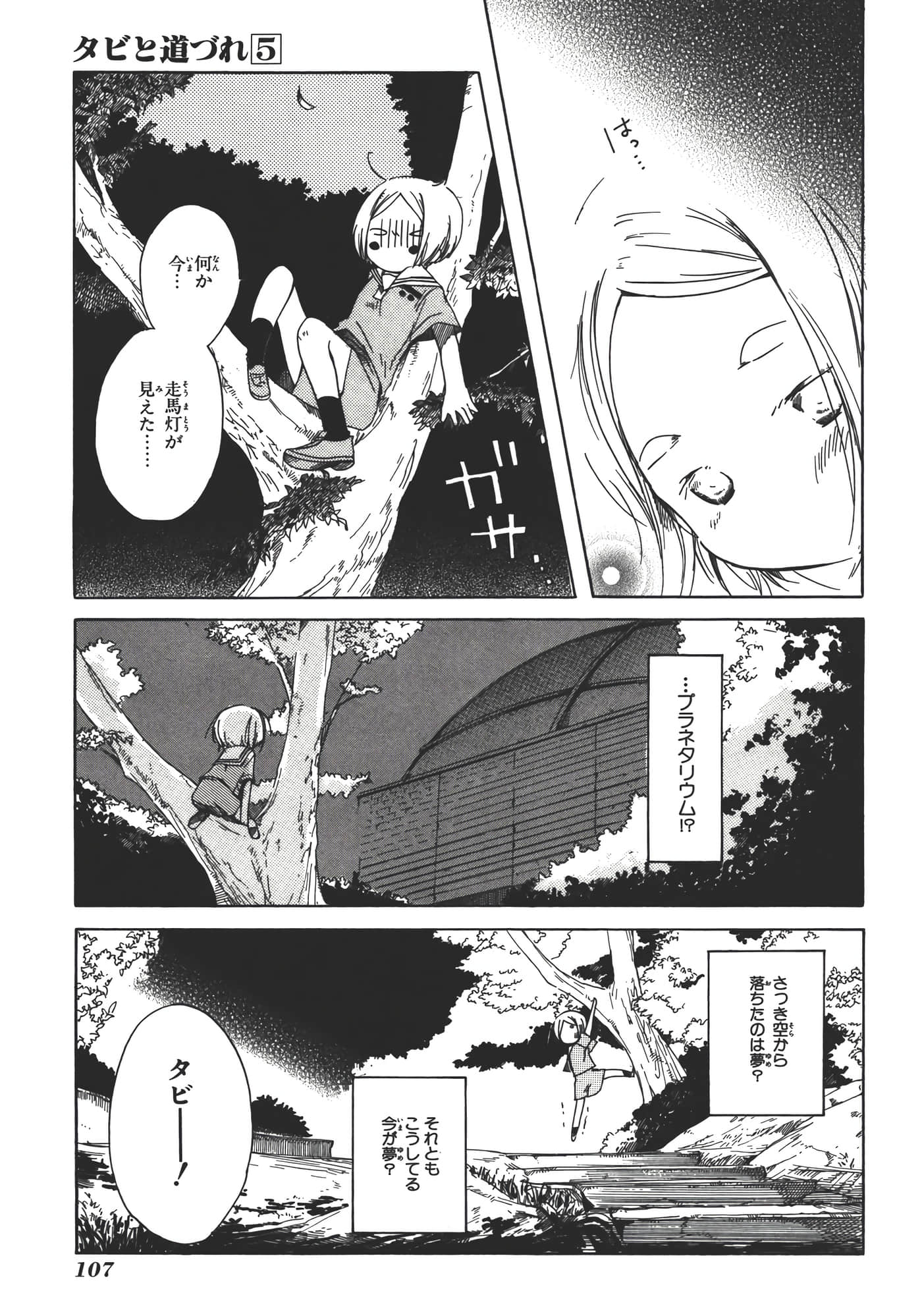 Page 113