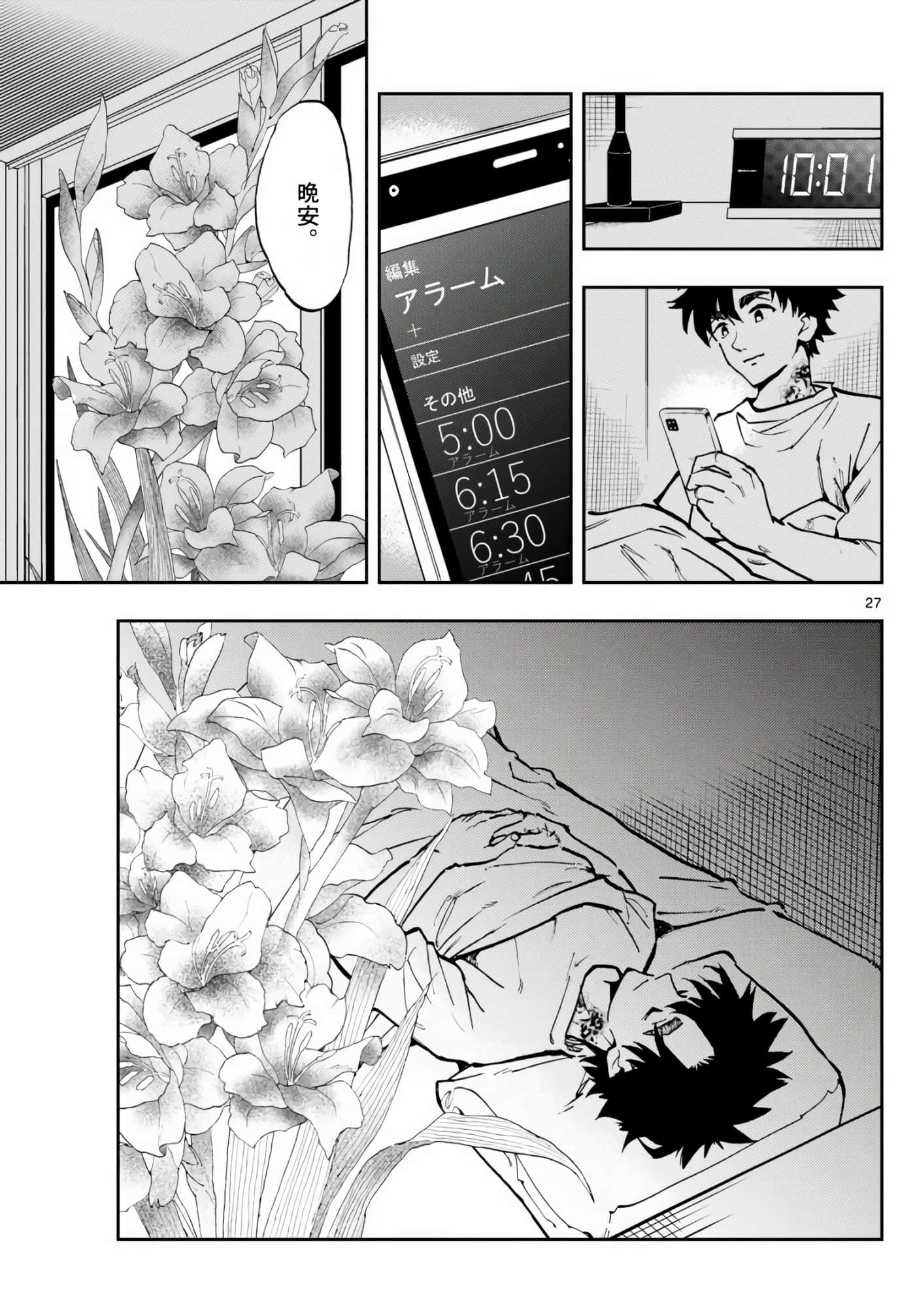 Page 27