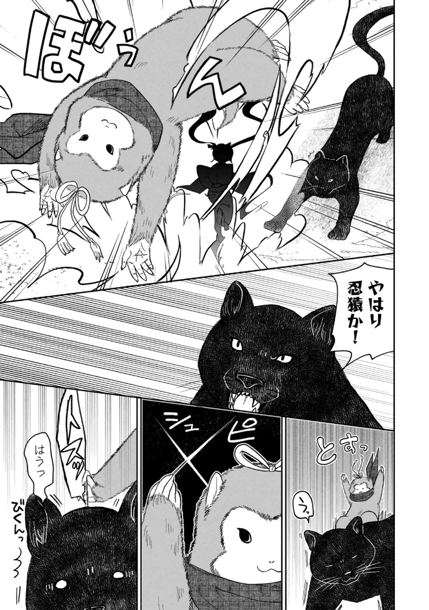 第 39 页