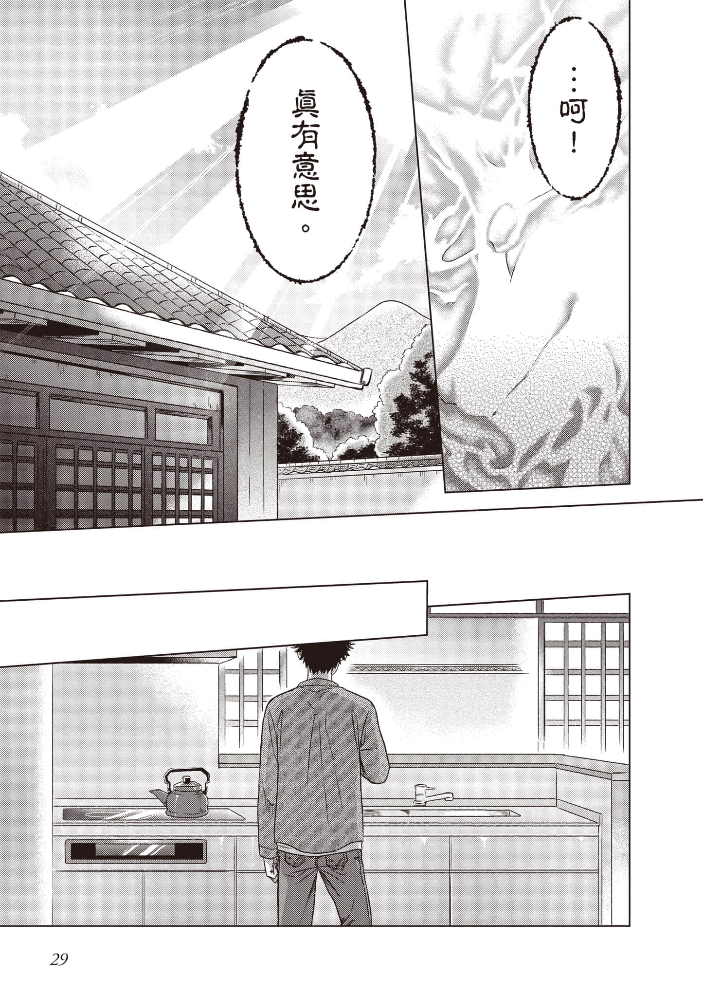 第 30 页