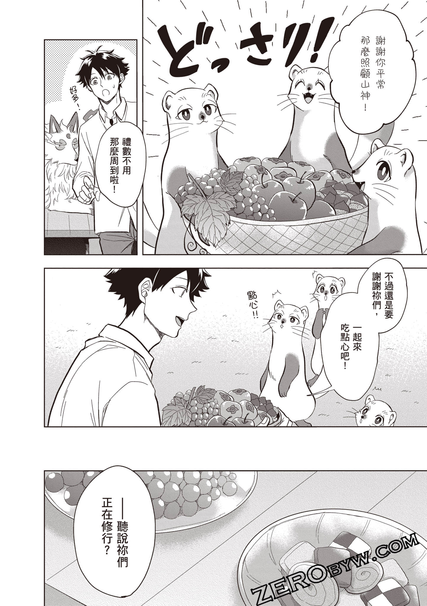 第 31 页