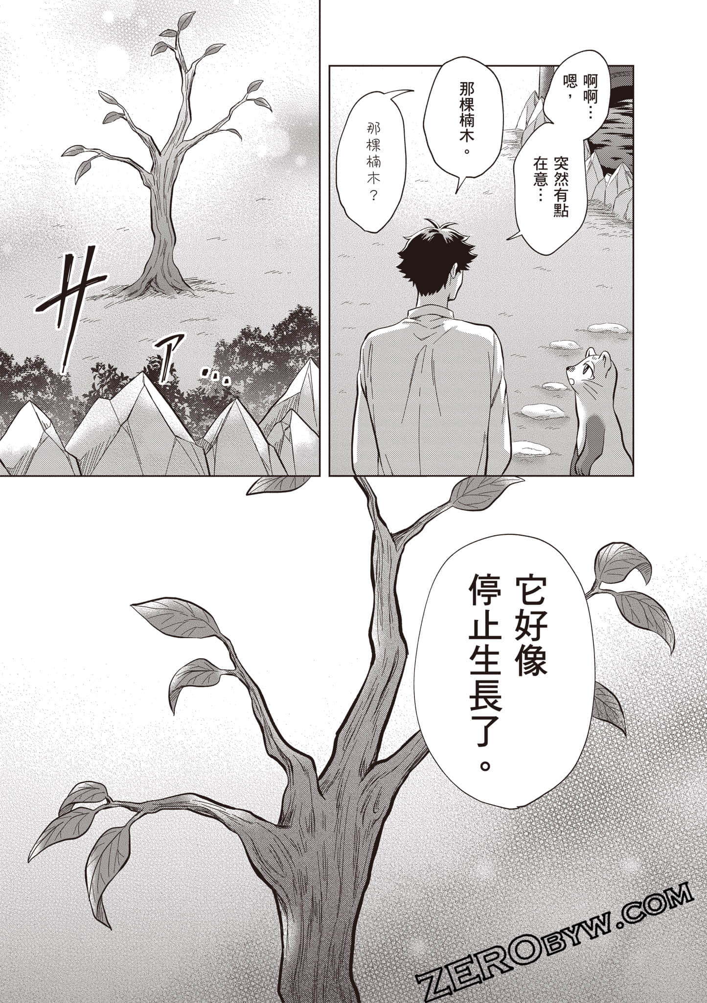 第 34 页