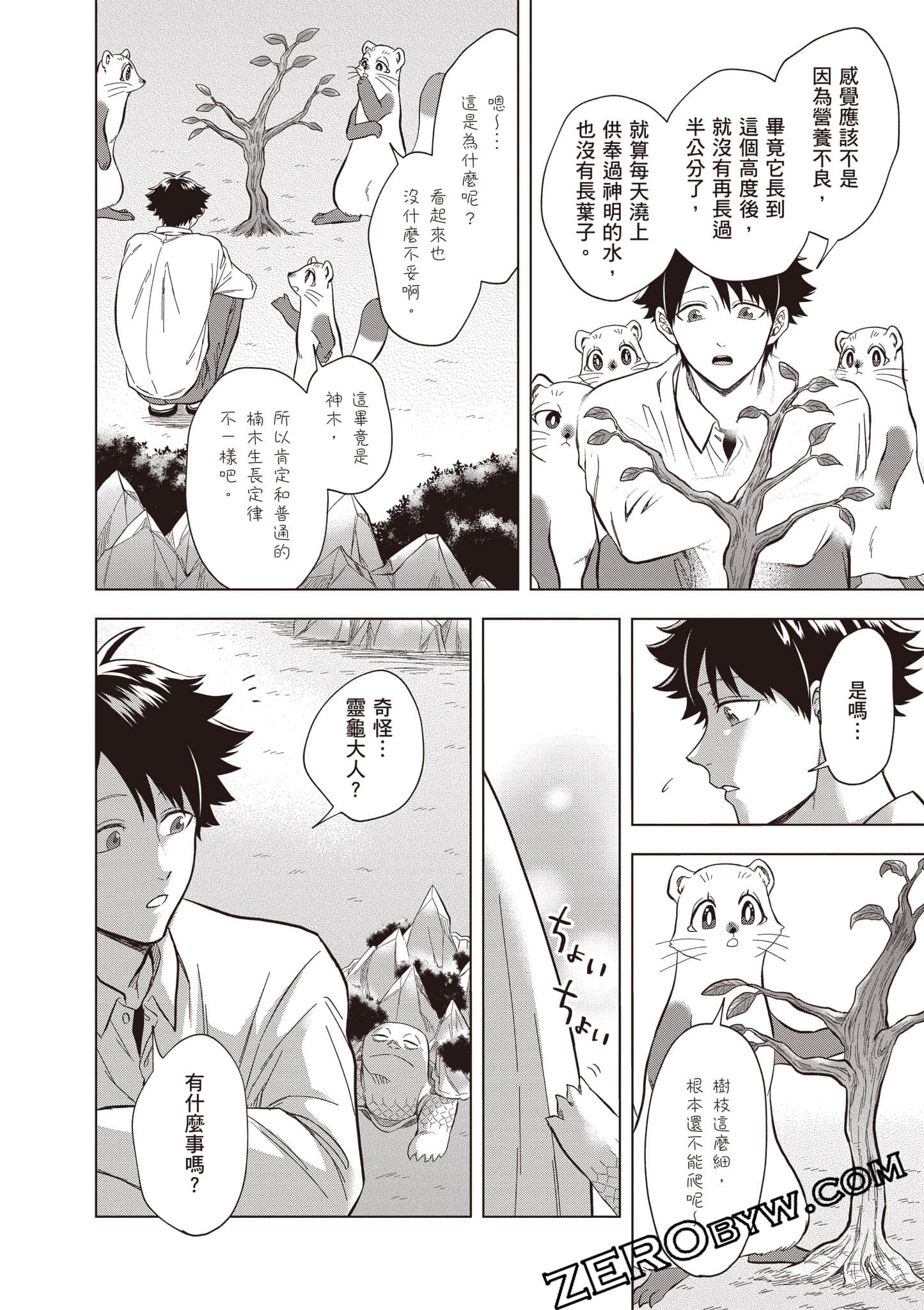 第 35 页