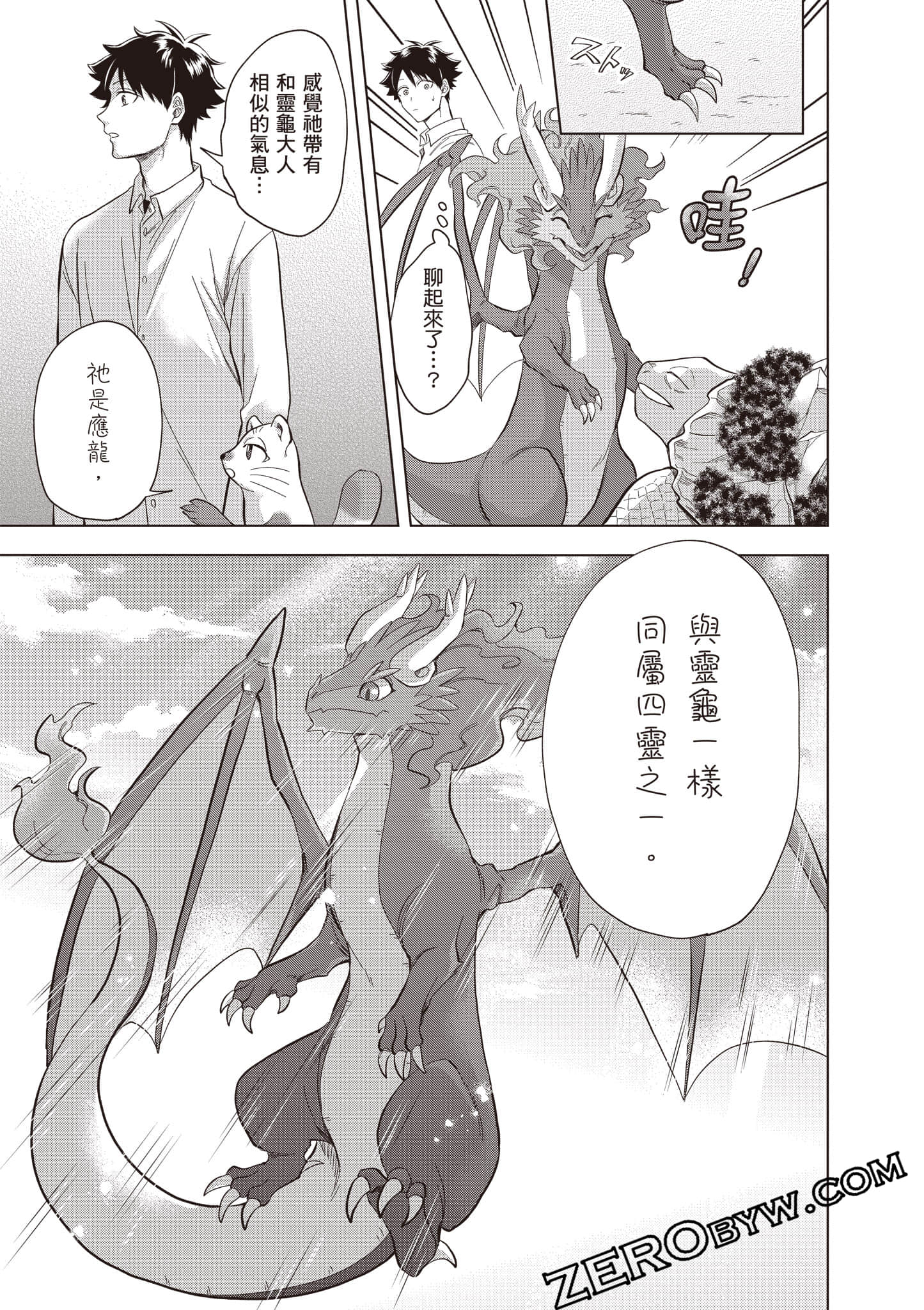 第 38 页
