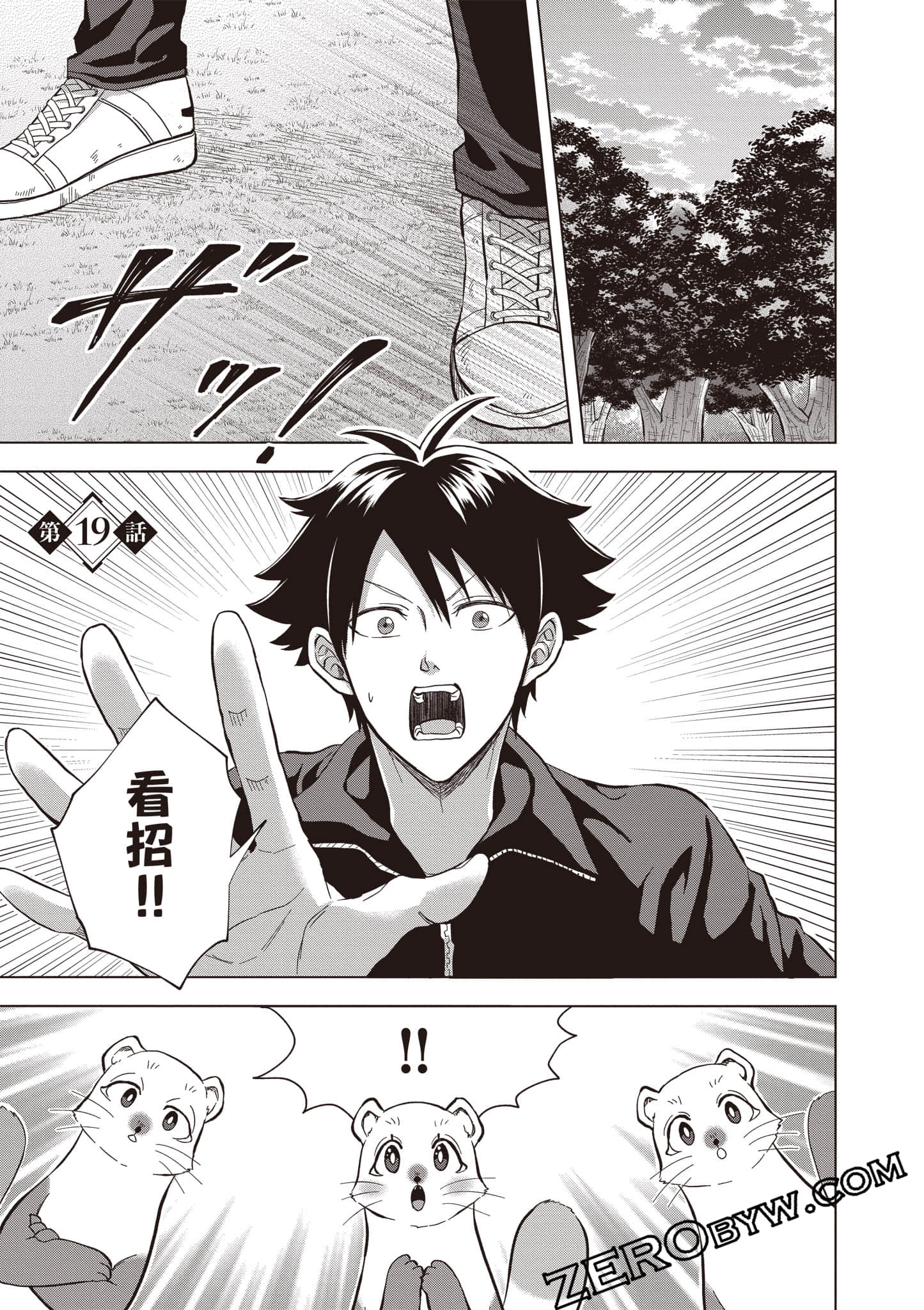第 96 页