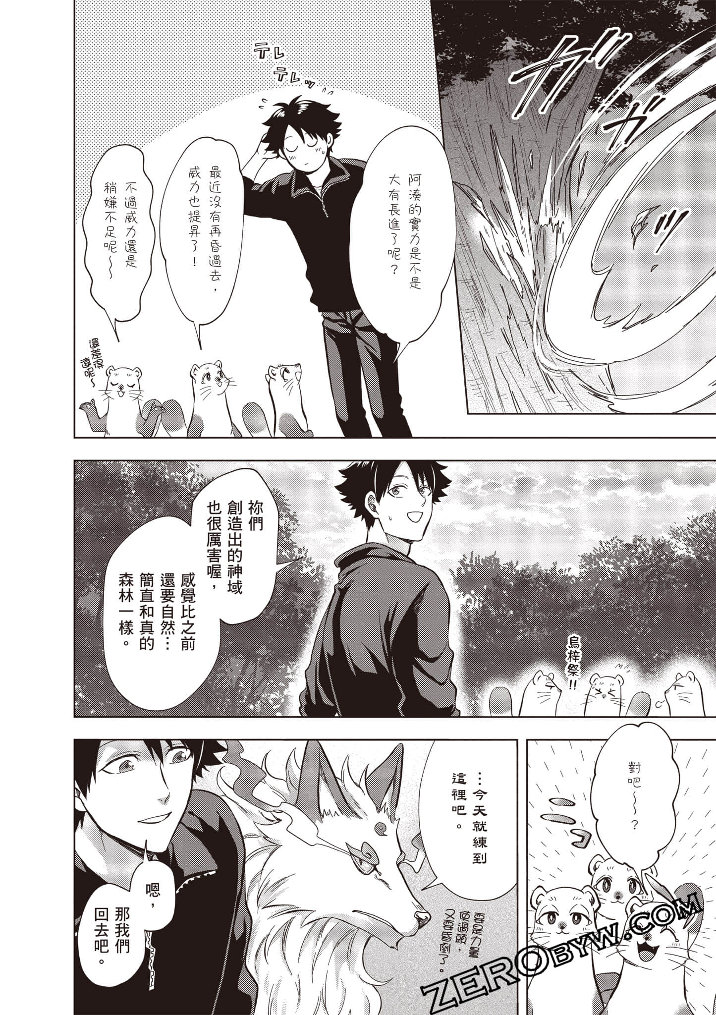 第 97 页