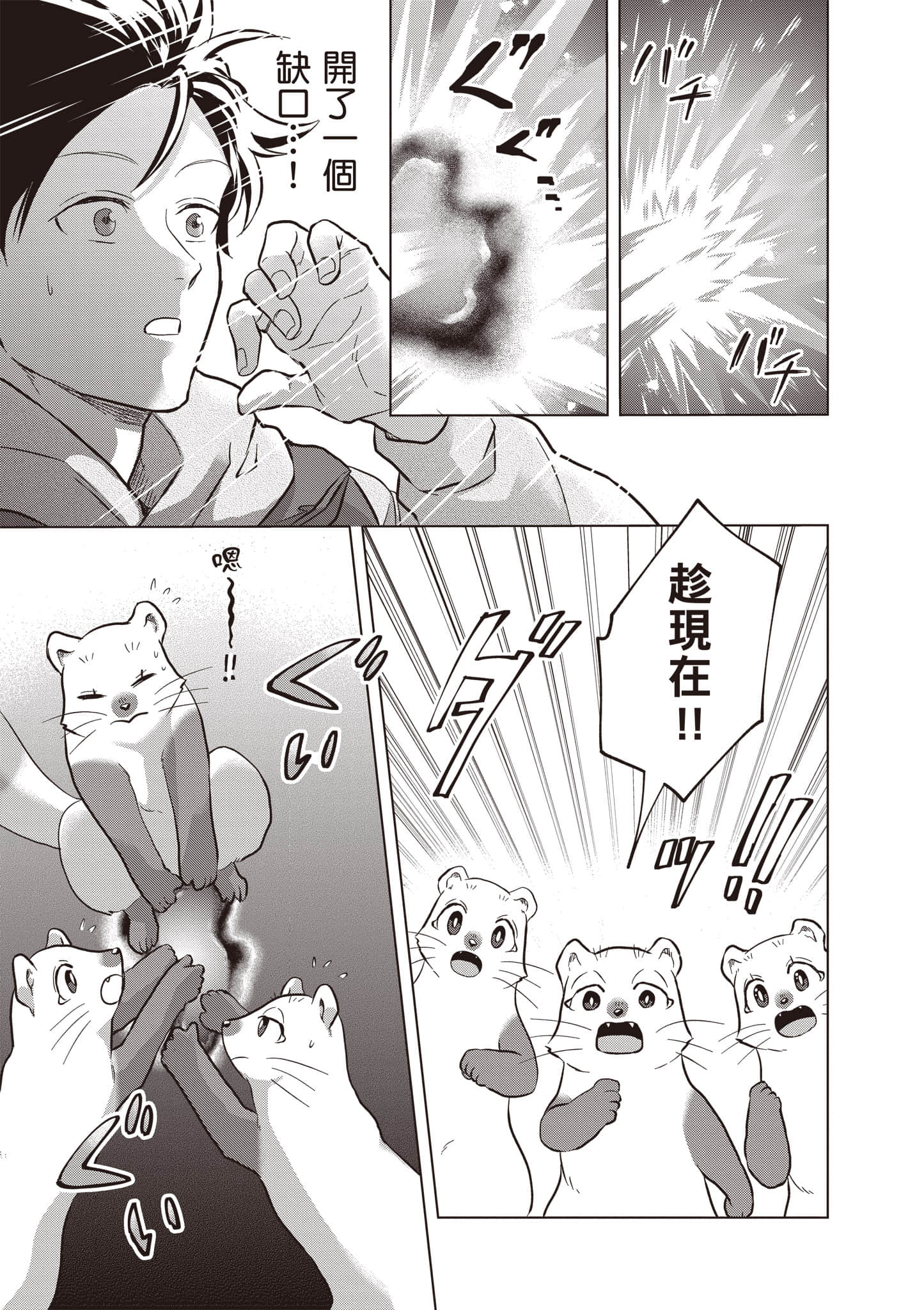 第 28 页
