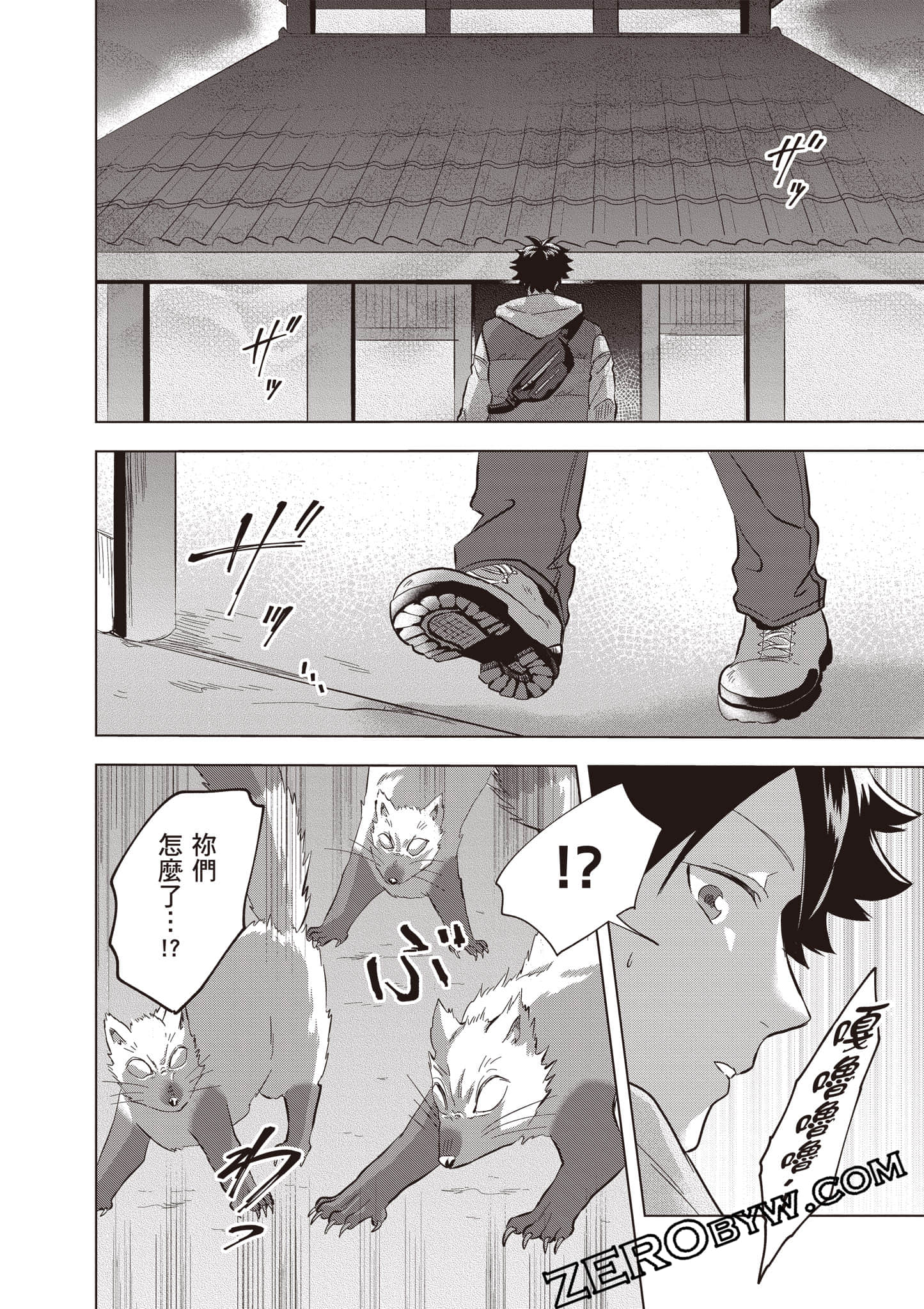 第 31 页
