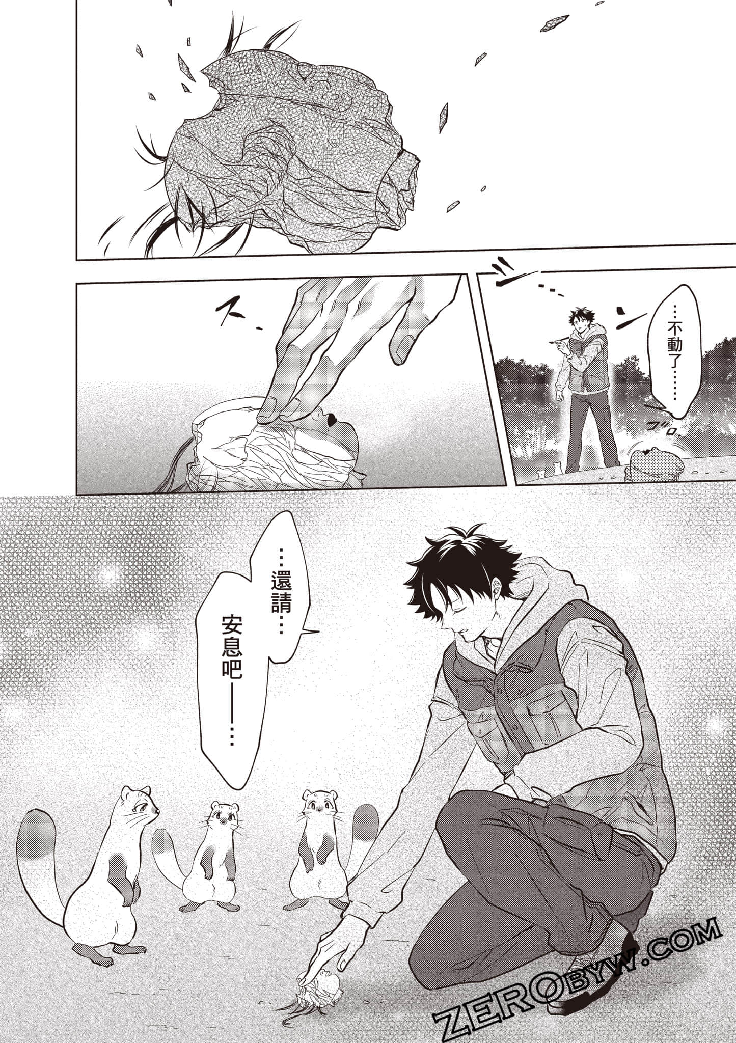 第 53 页