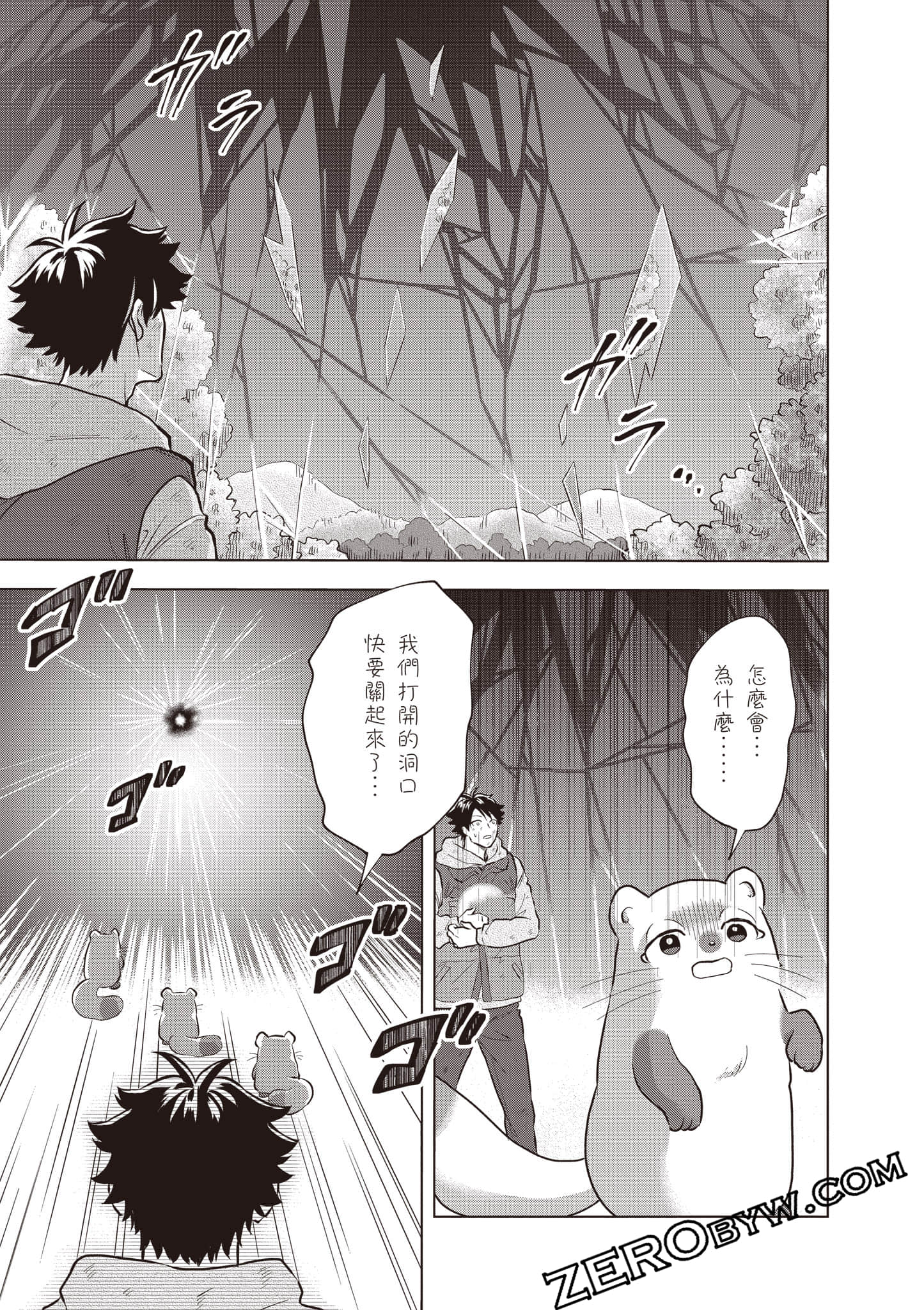 第 66 页