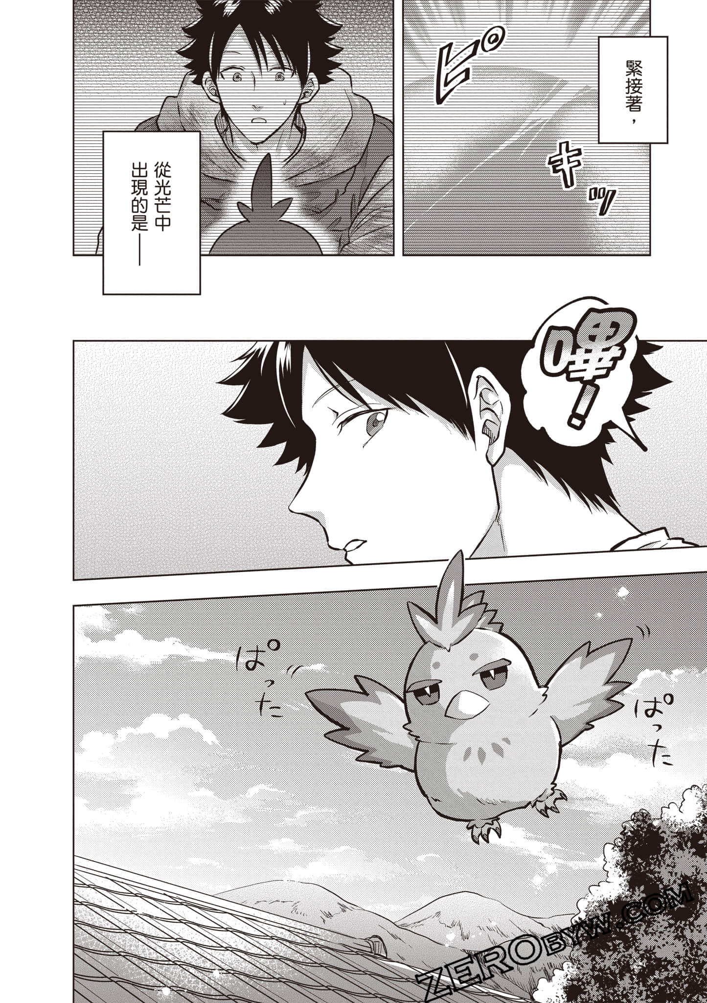 第 75 页