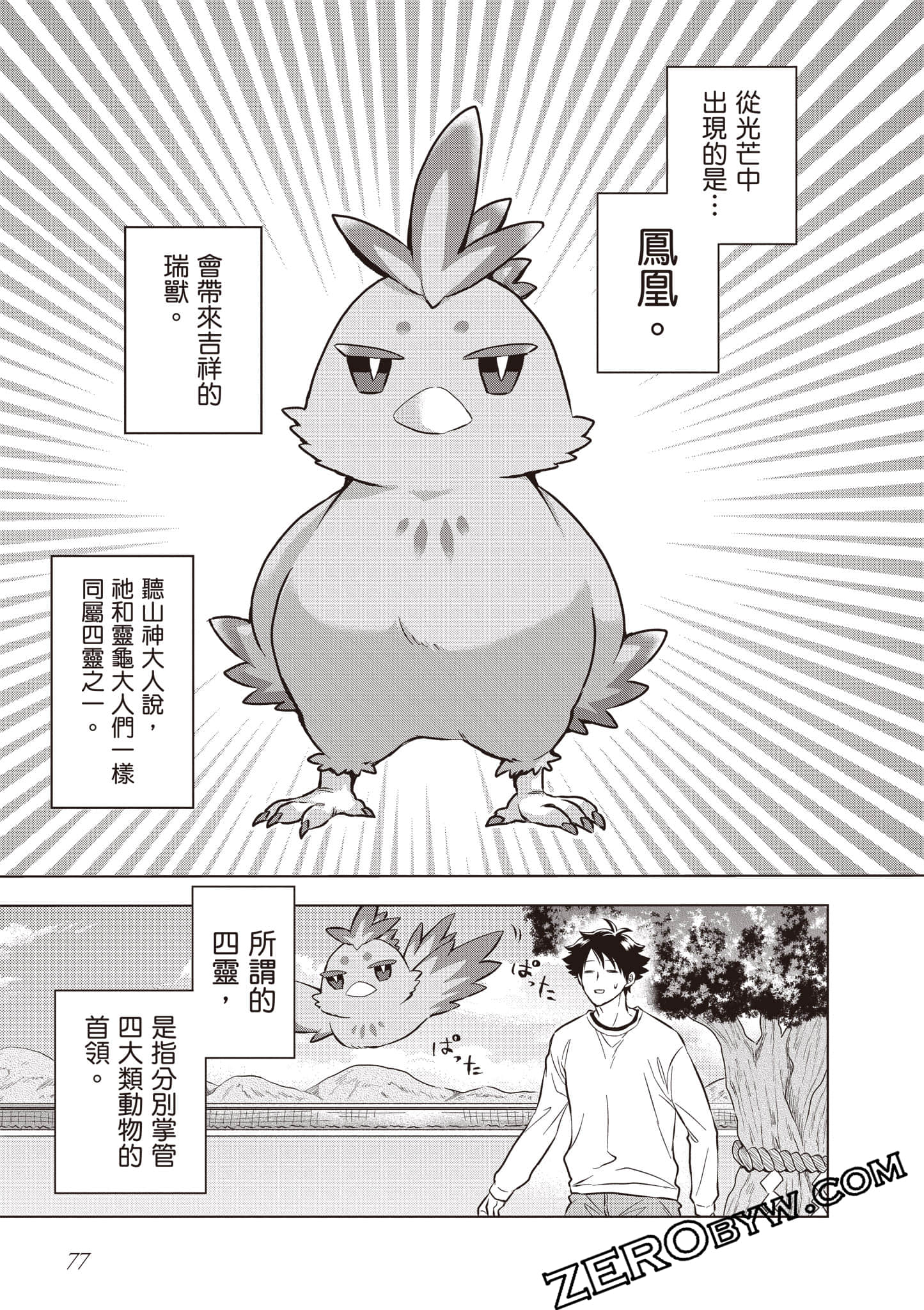 第 78 页