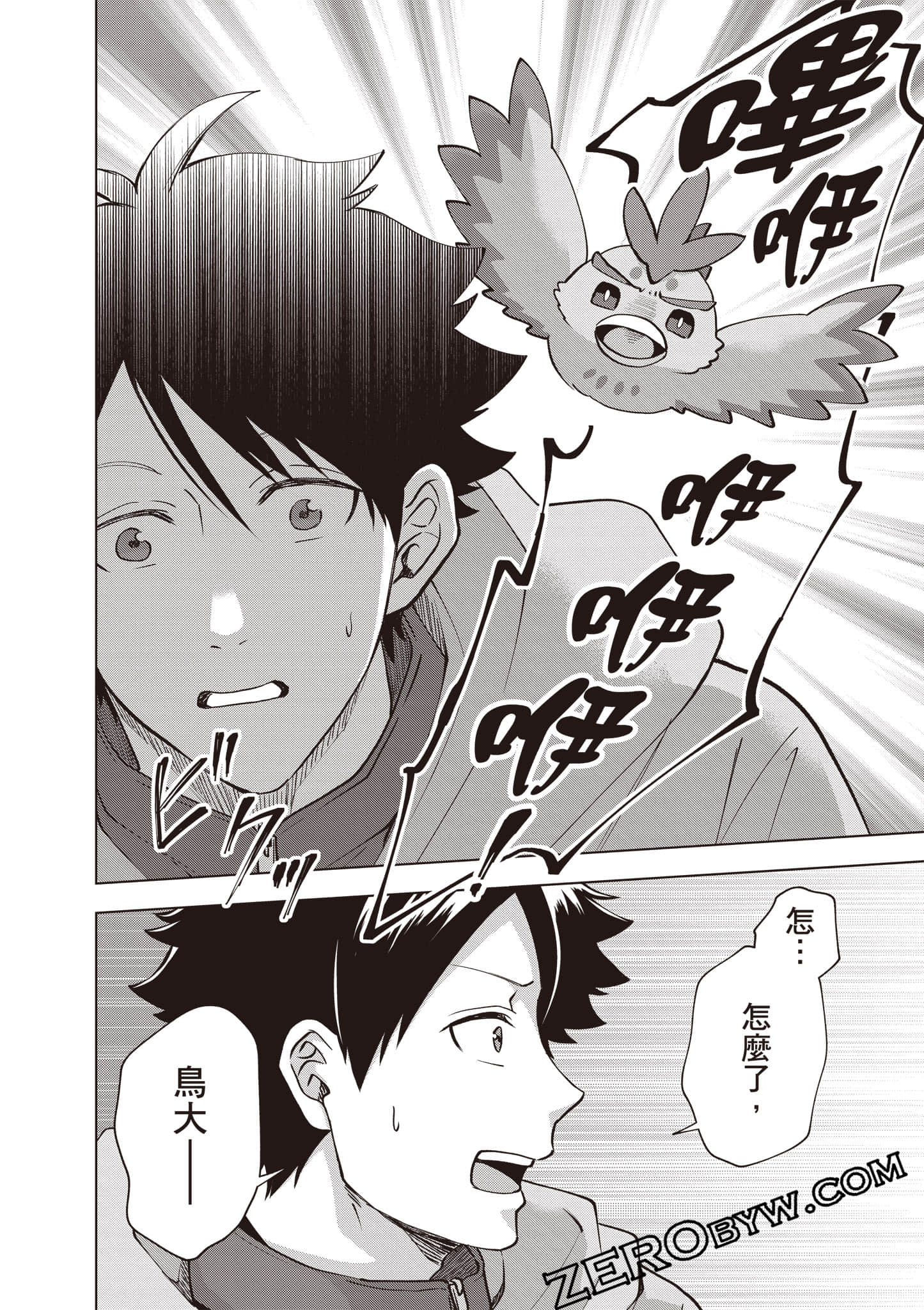 第 135 页