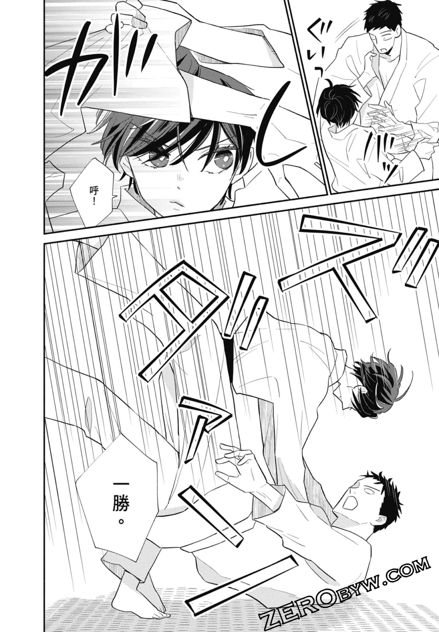 第 110 页