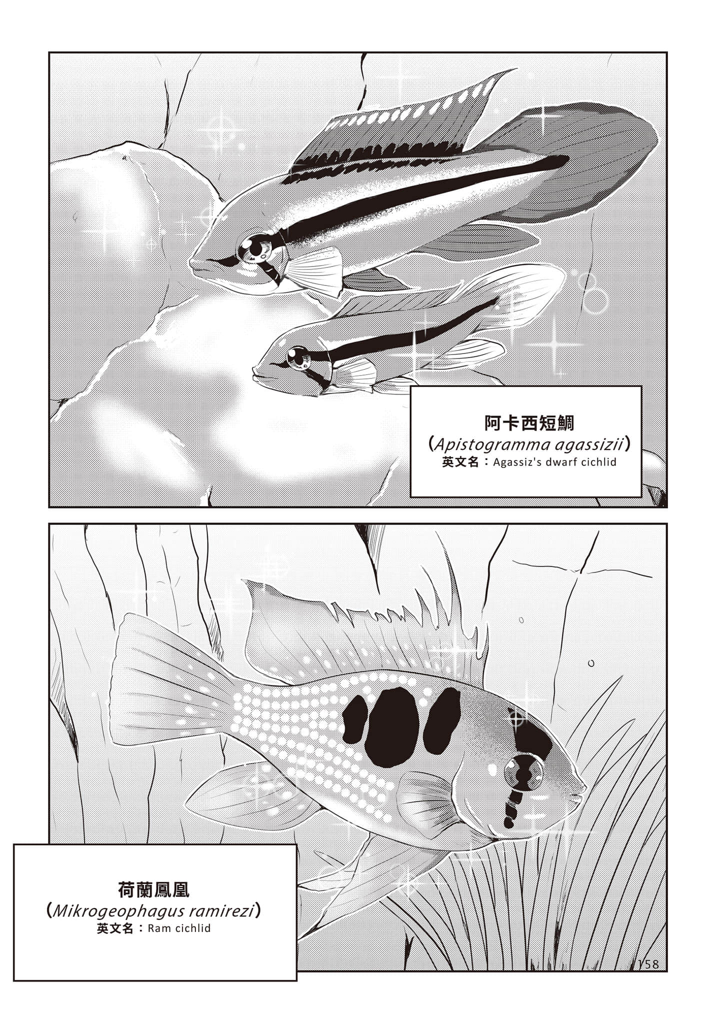 Page 161
