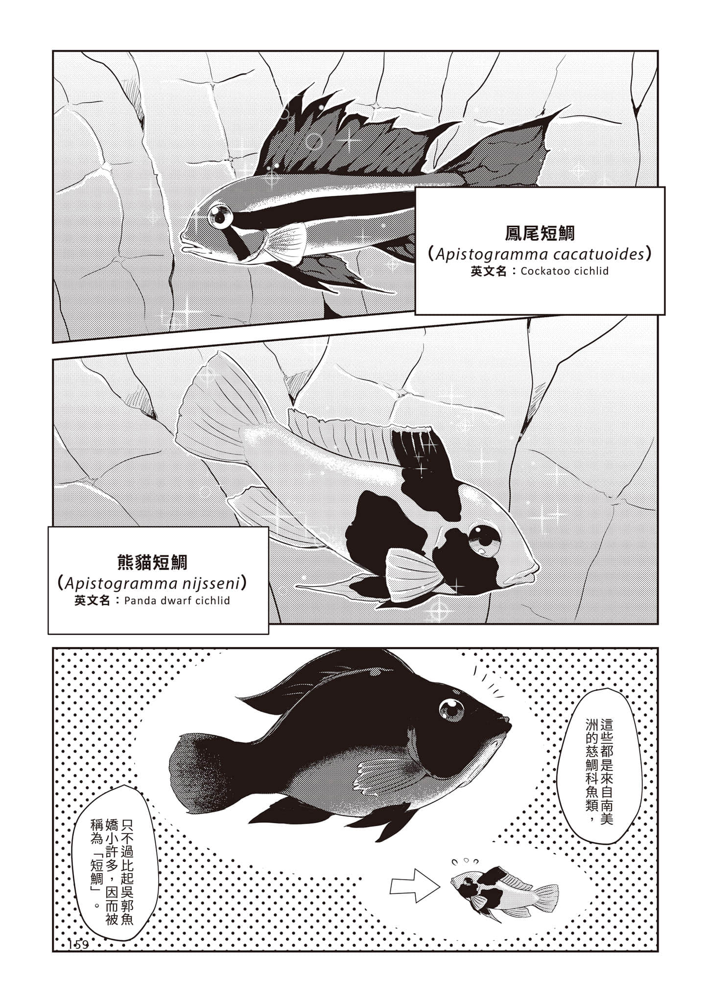 Page 162