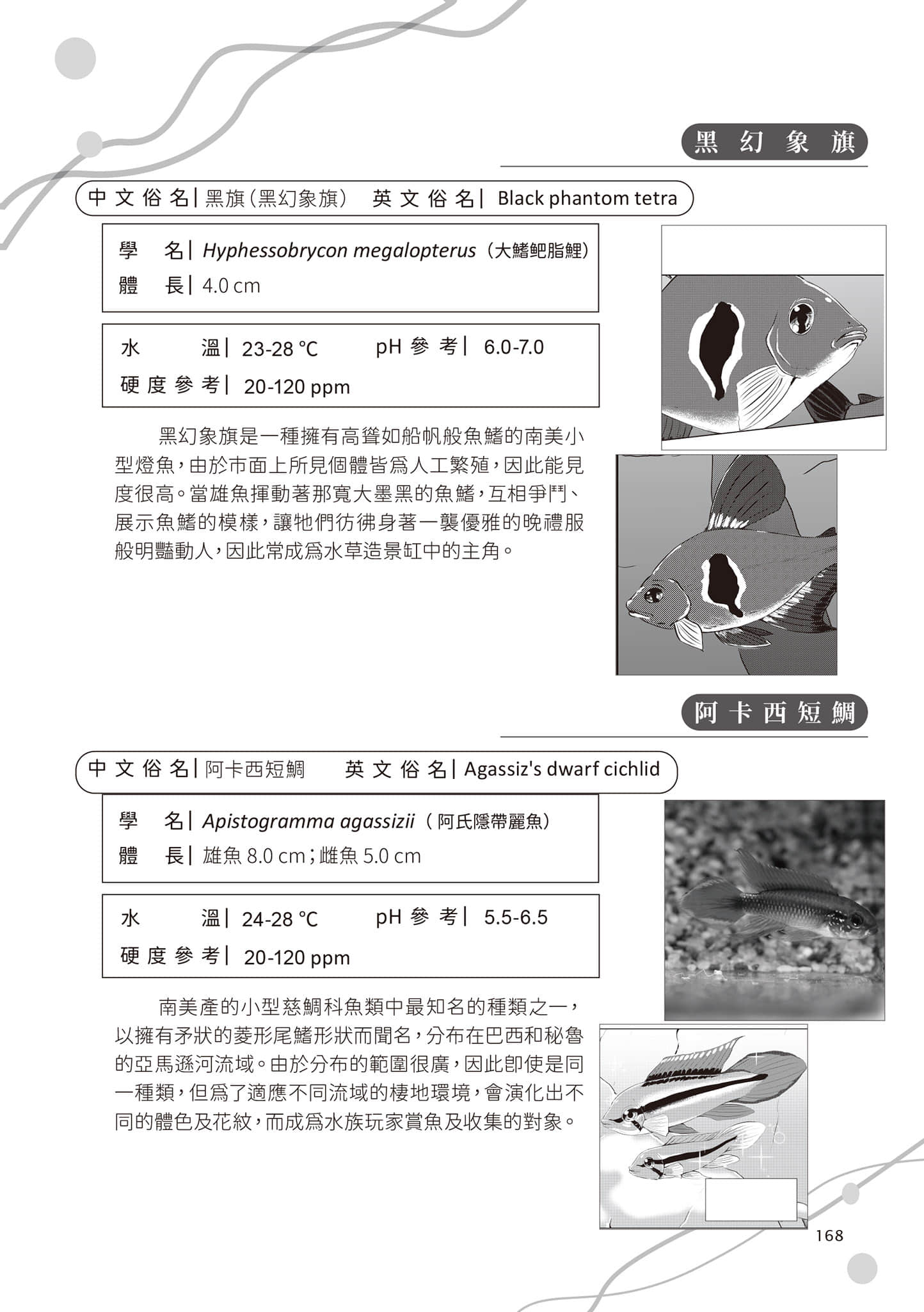 Page 171