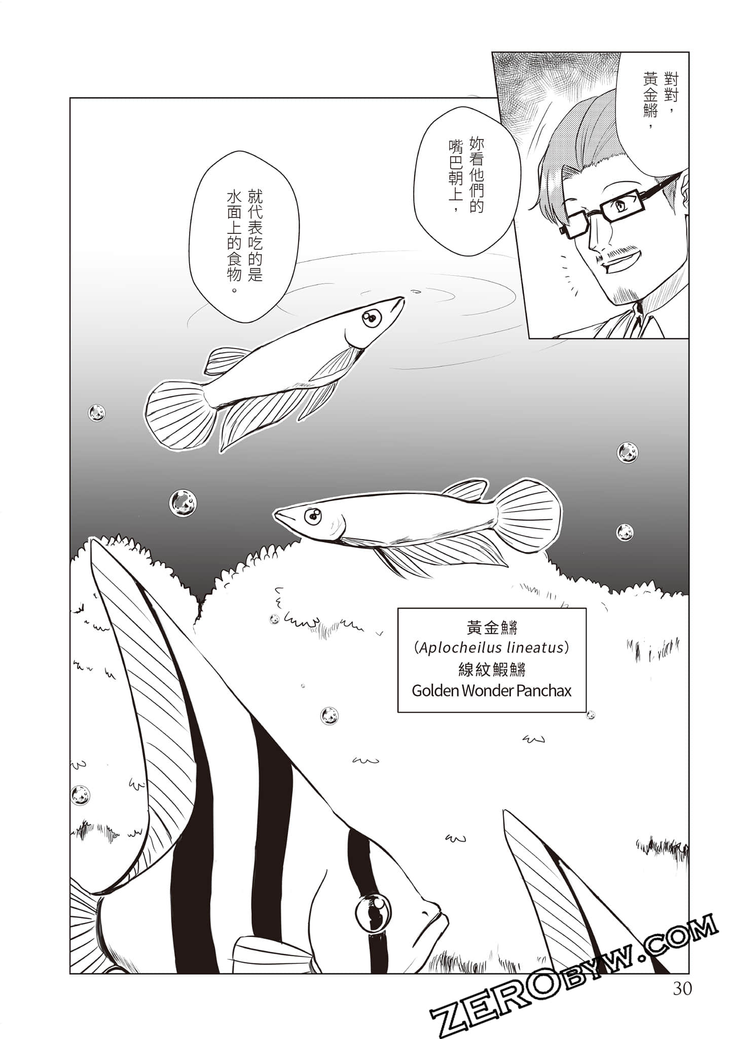 Page 33