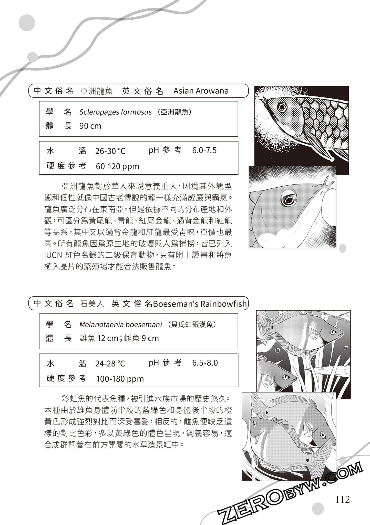 Page 115