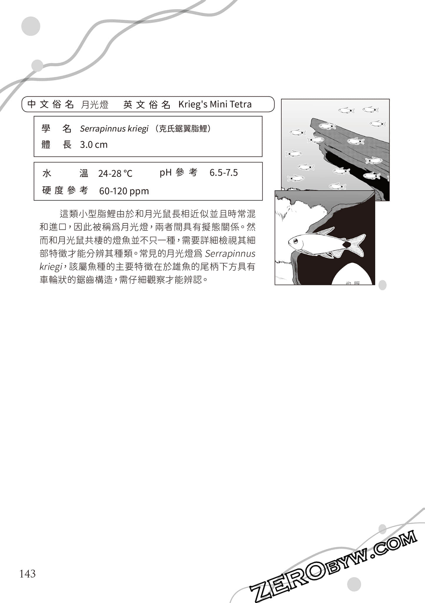 Page 146