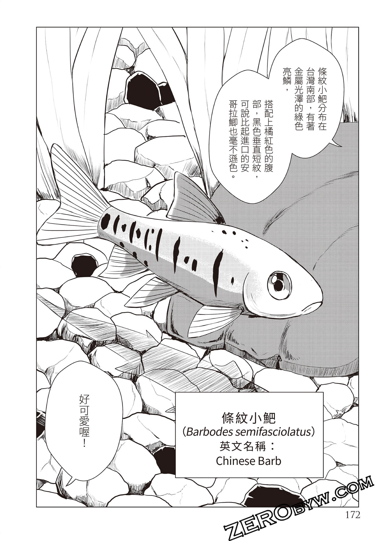 Page 175