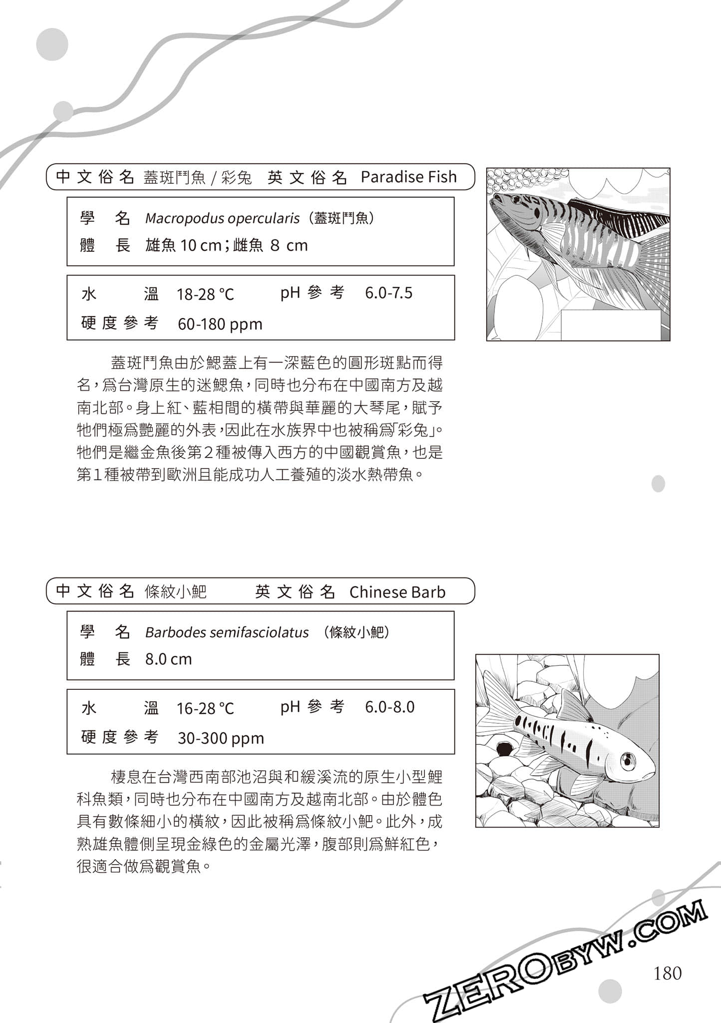 Page 183