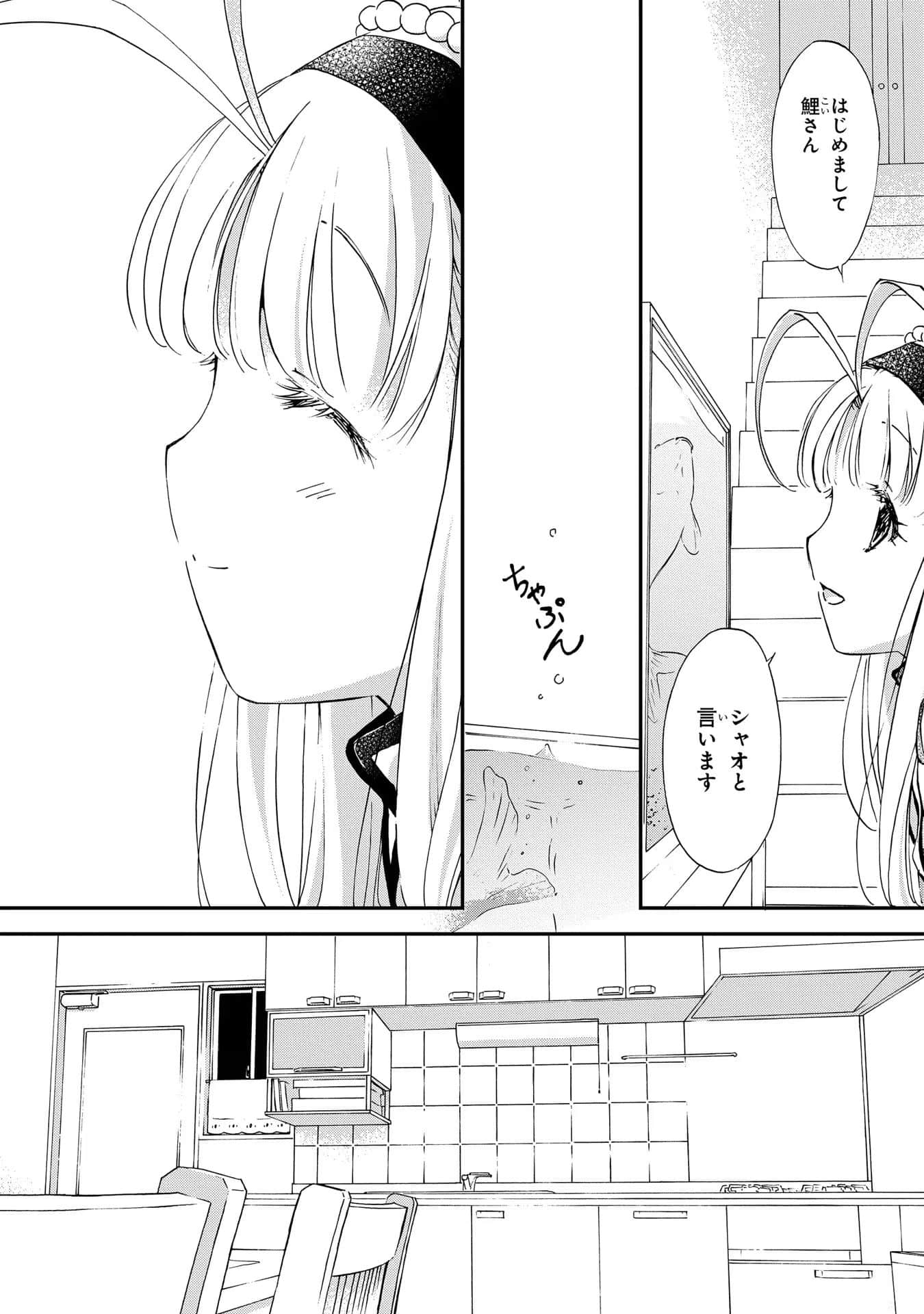 第 41 页
