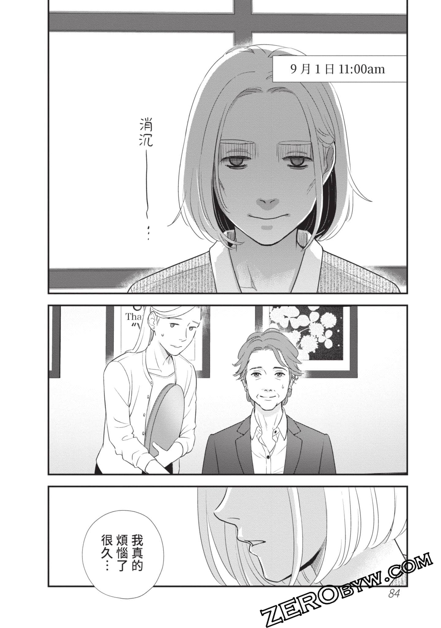 第 85 页