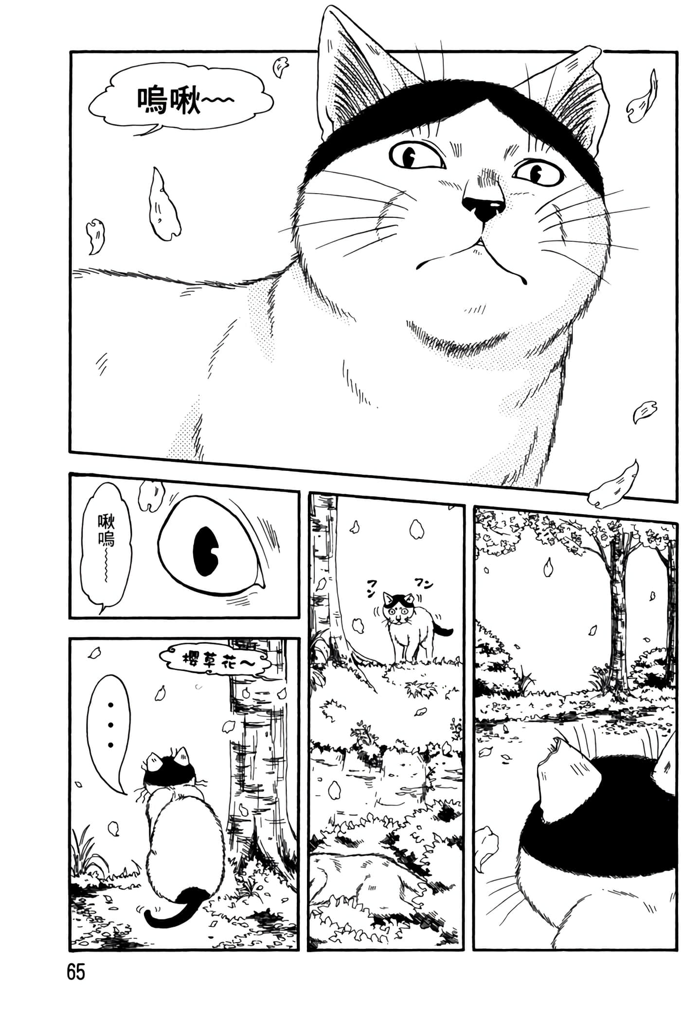 Page 64