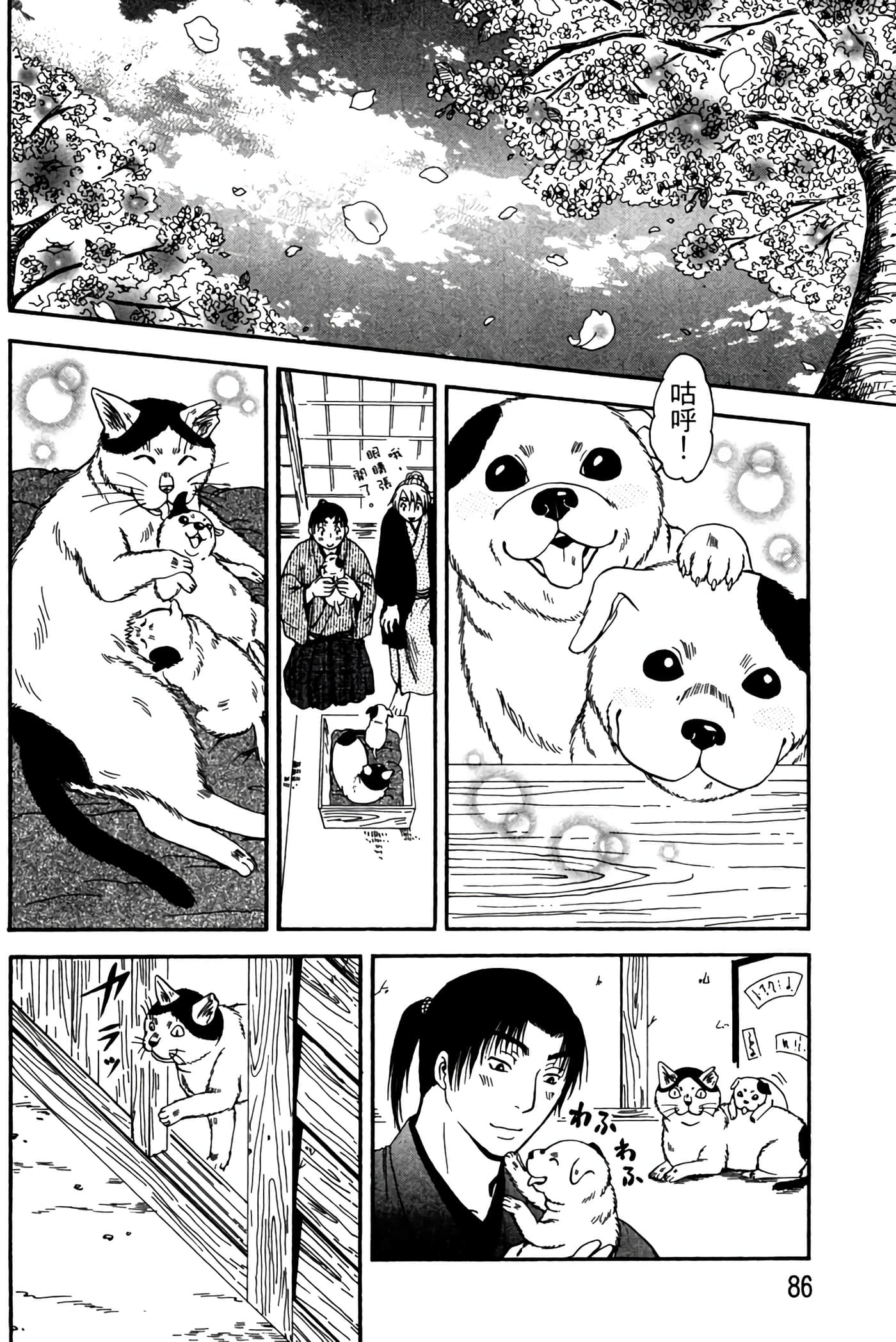 Page 85