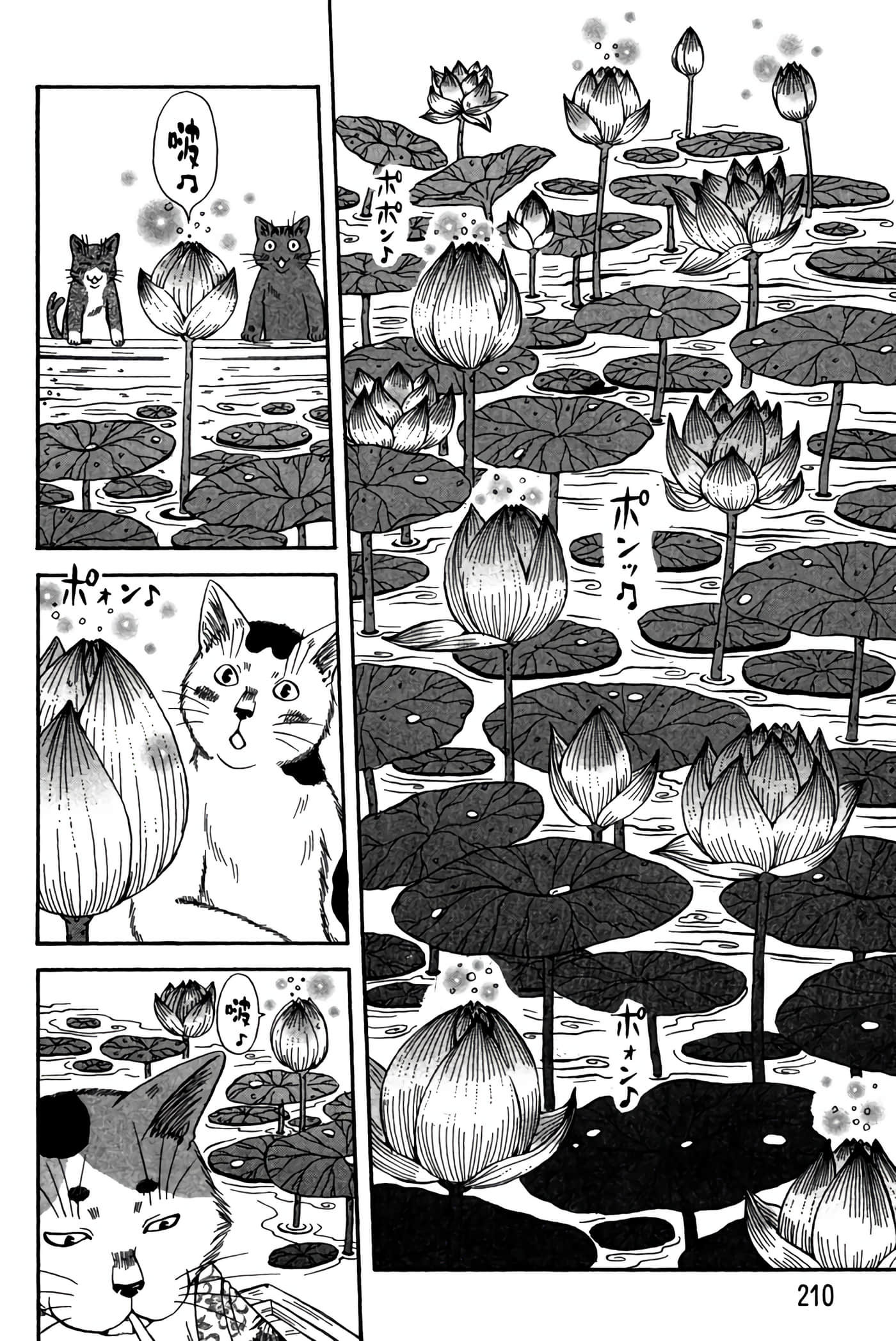 Page 209