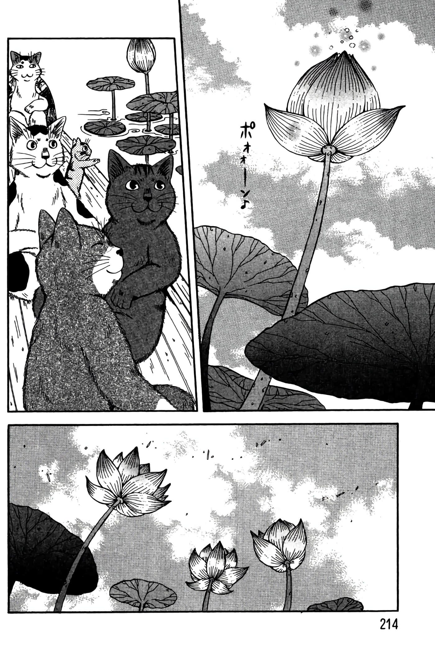 Page 213