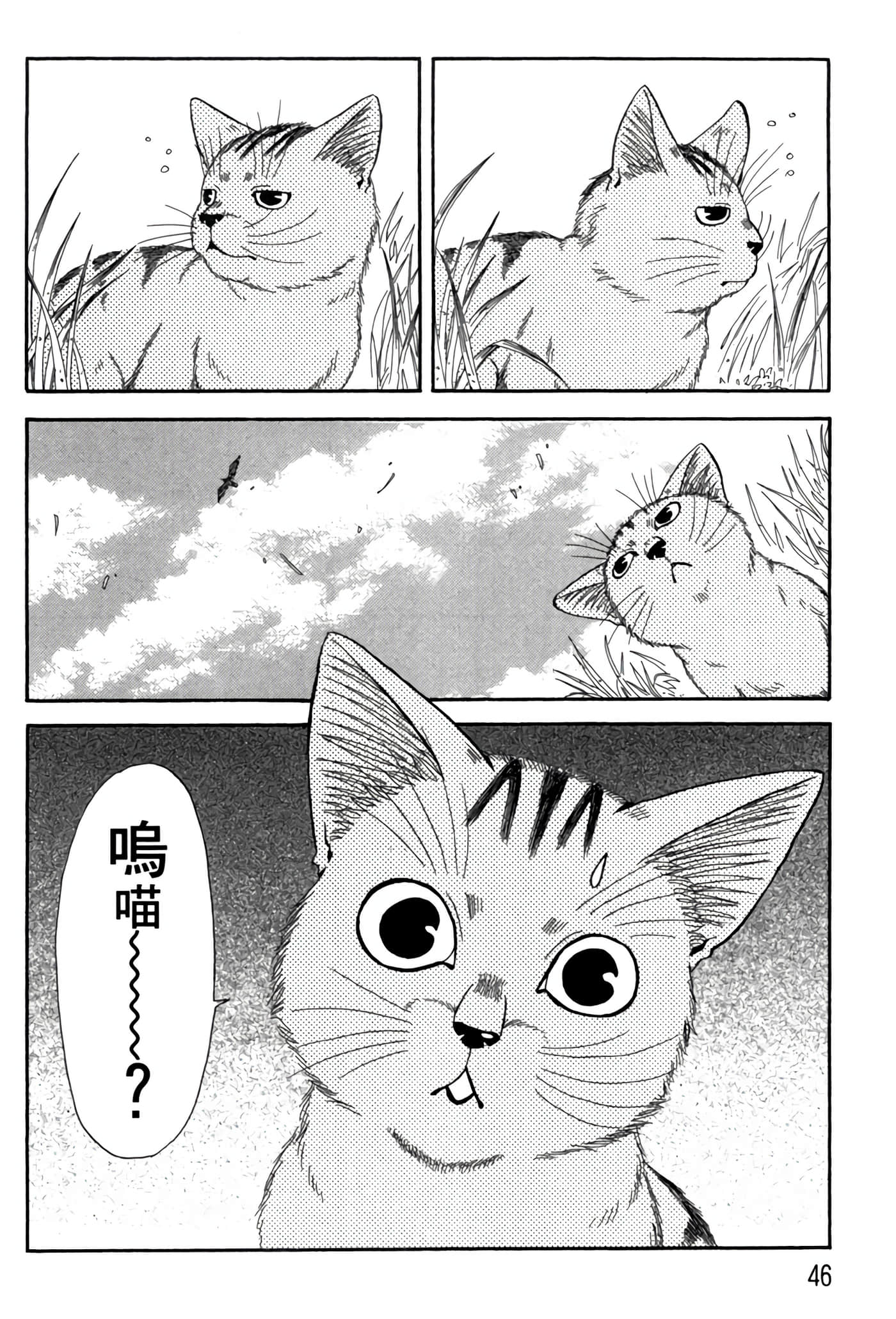 Page 45