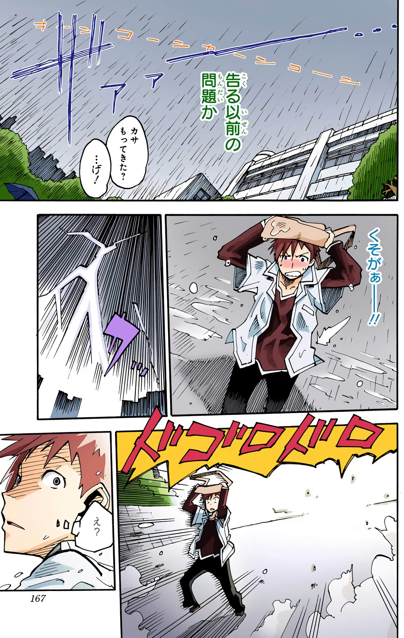 第 51 页