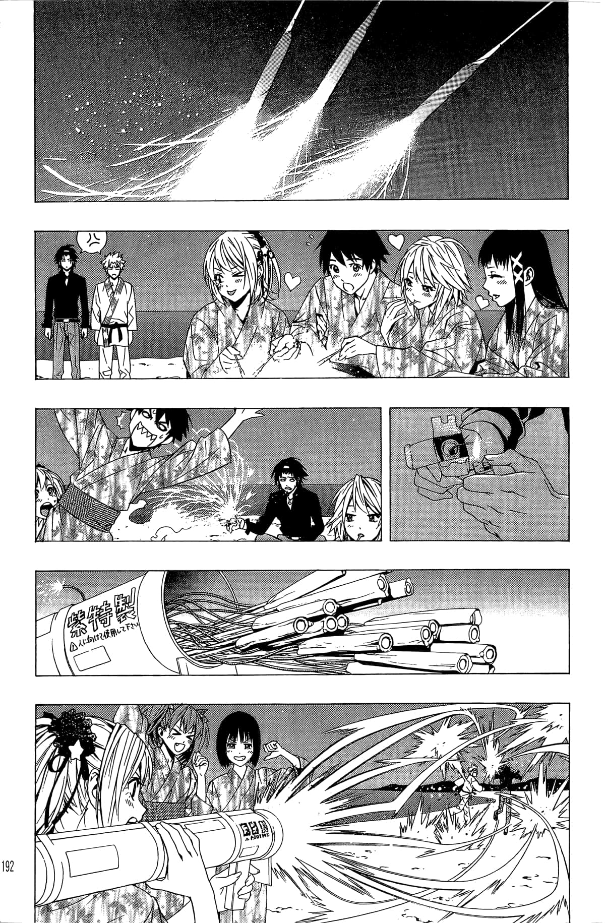 Page 193