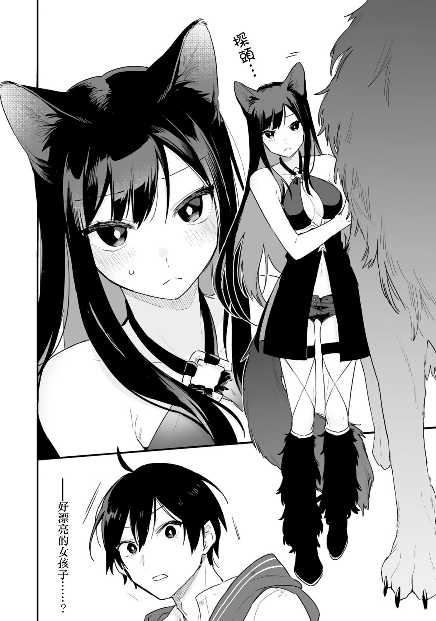 第 11 页