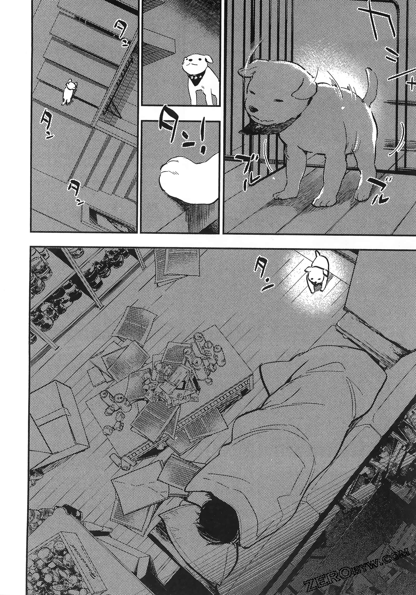 Page 120