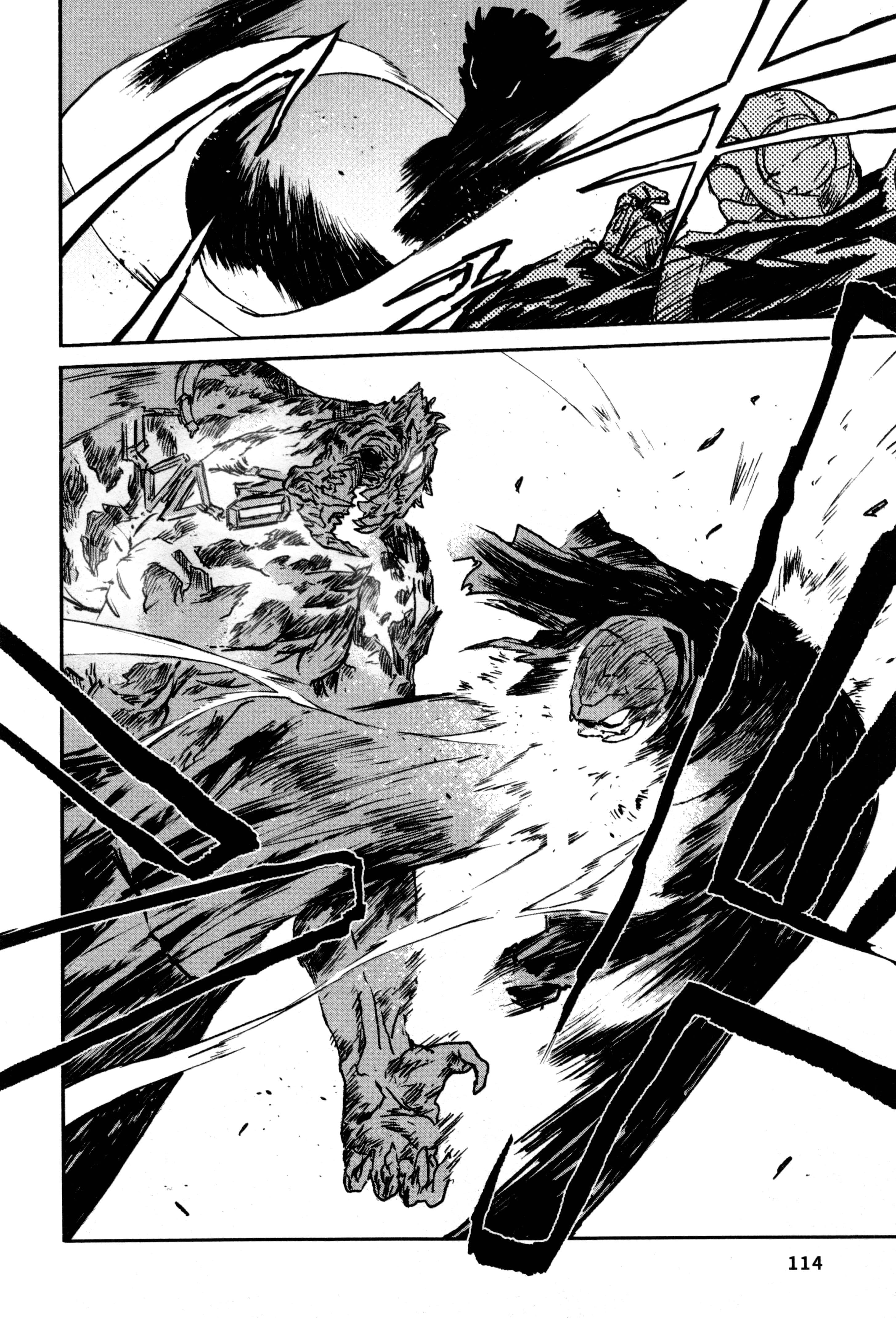 Page 117