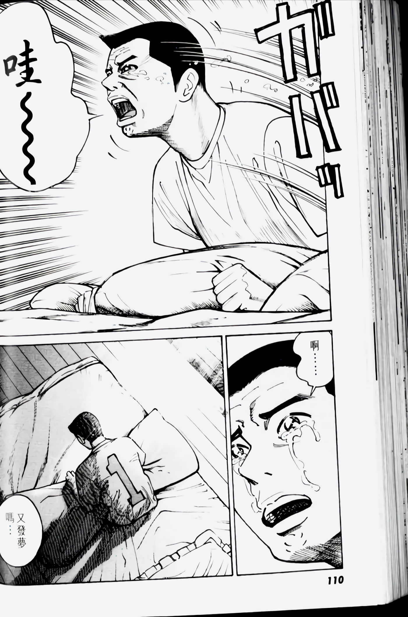 Page 110