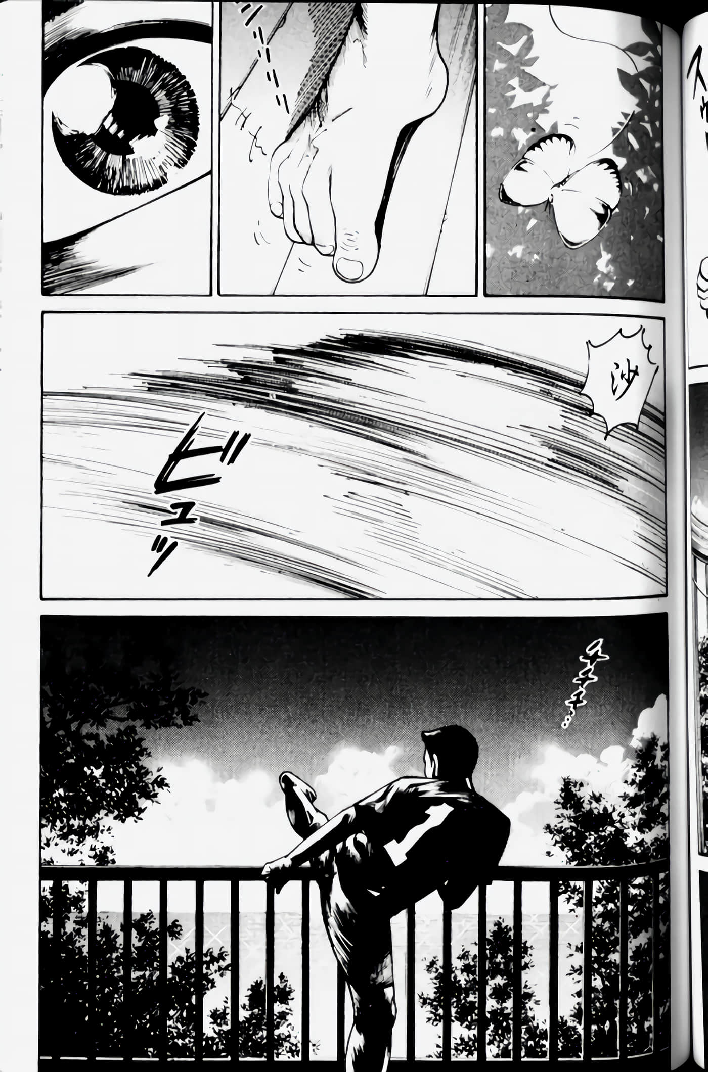 Page 113