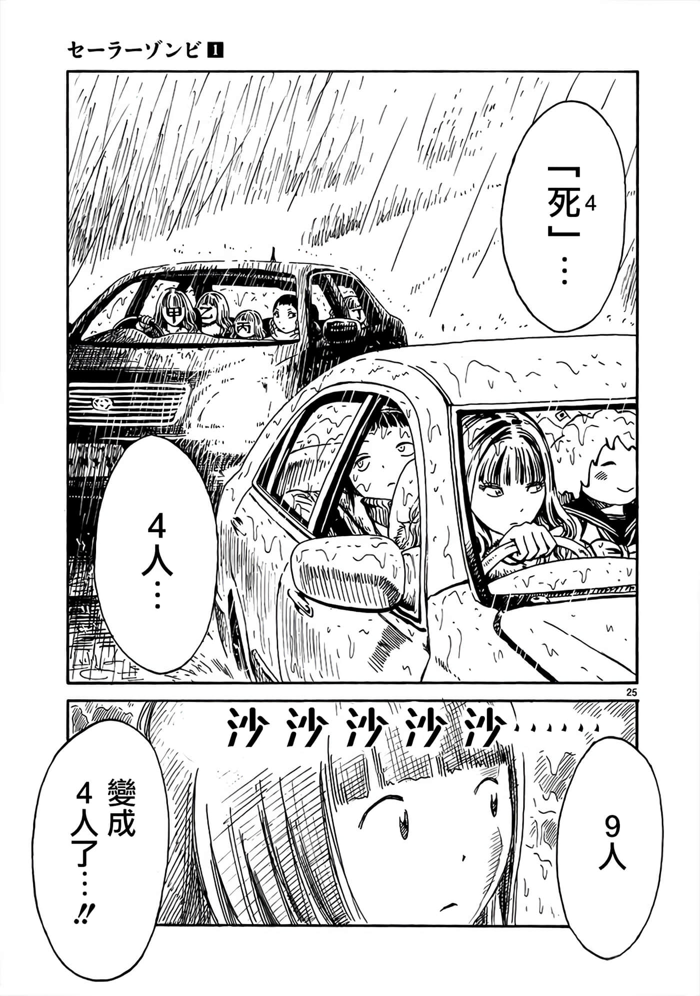 Page 25