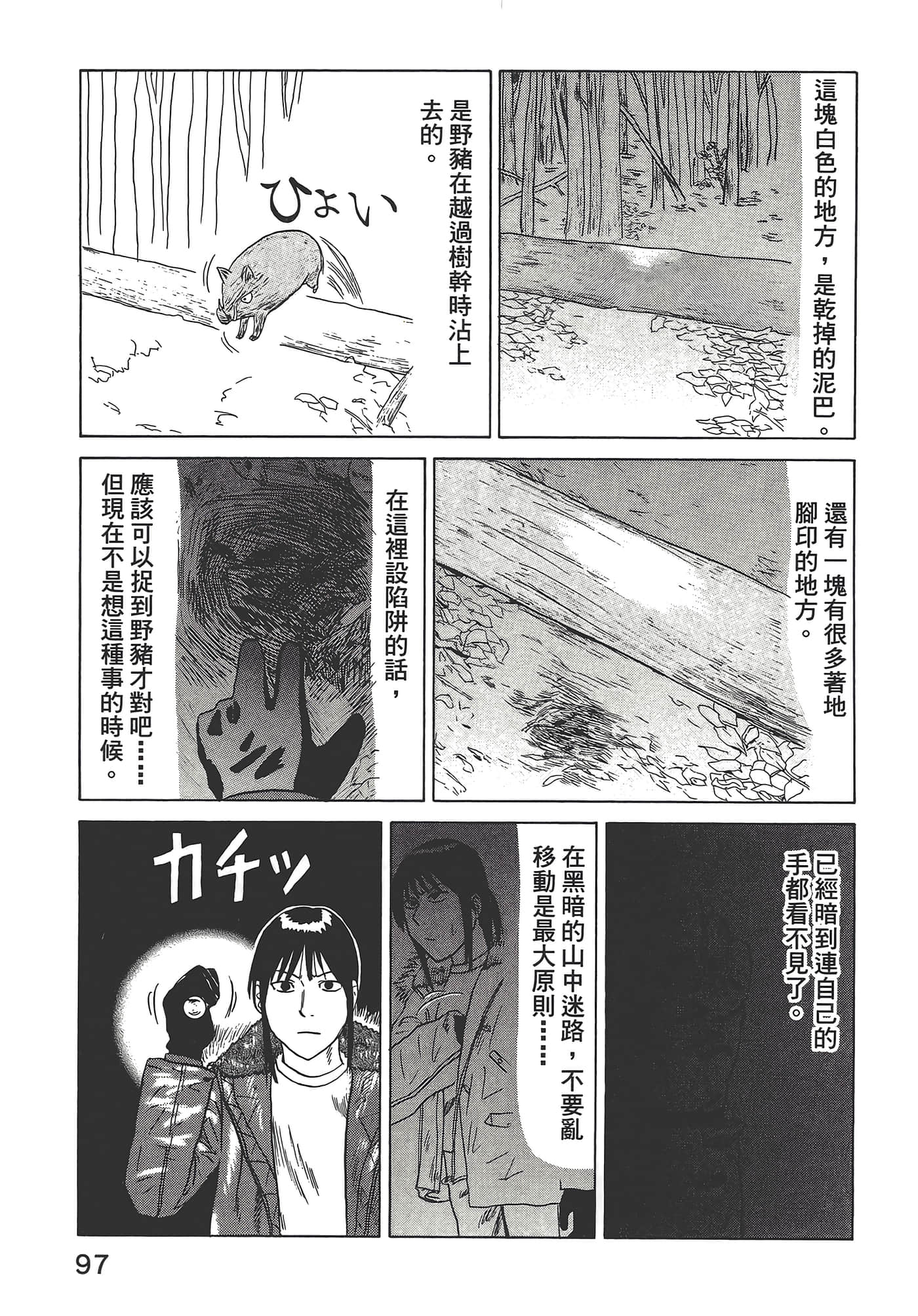Page 101