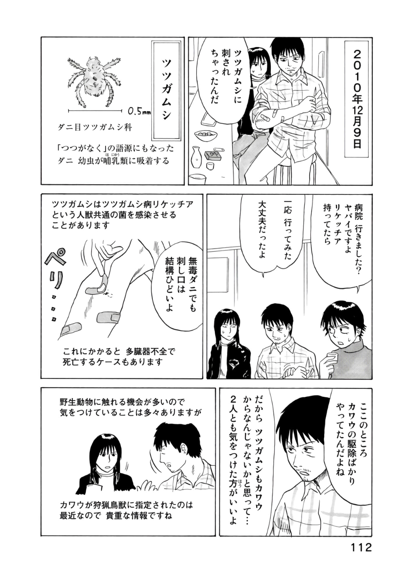 Page 113